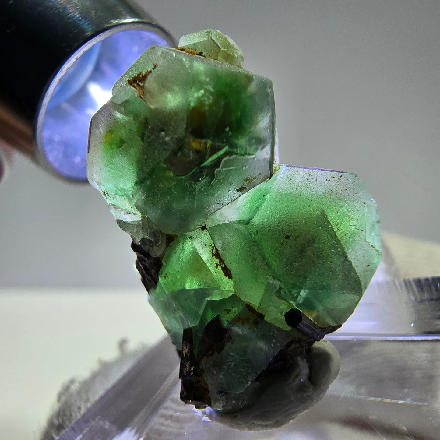 Spécimen de tourmaline Schorl hexagonale en cube de fluorite fantôme, Erongo, Namibie, 26 x 19 x 12 mm