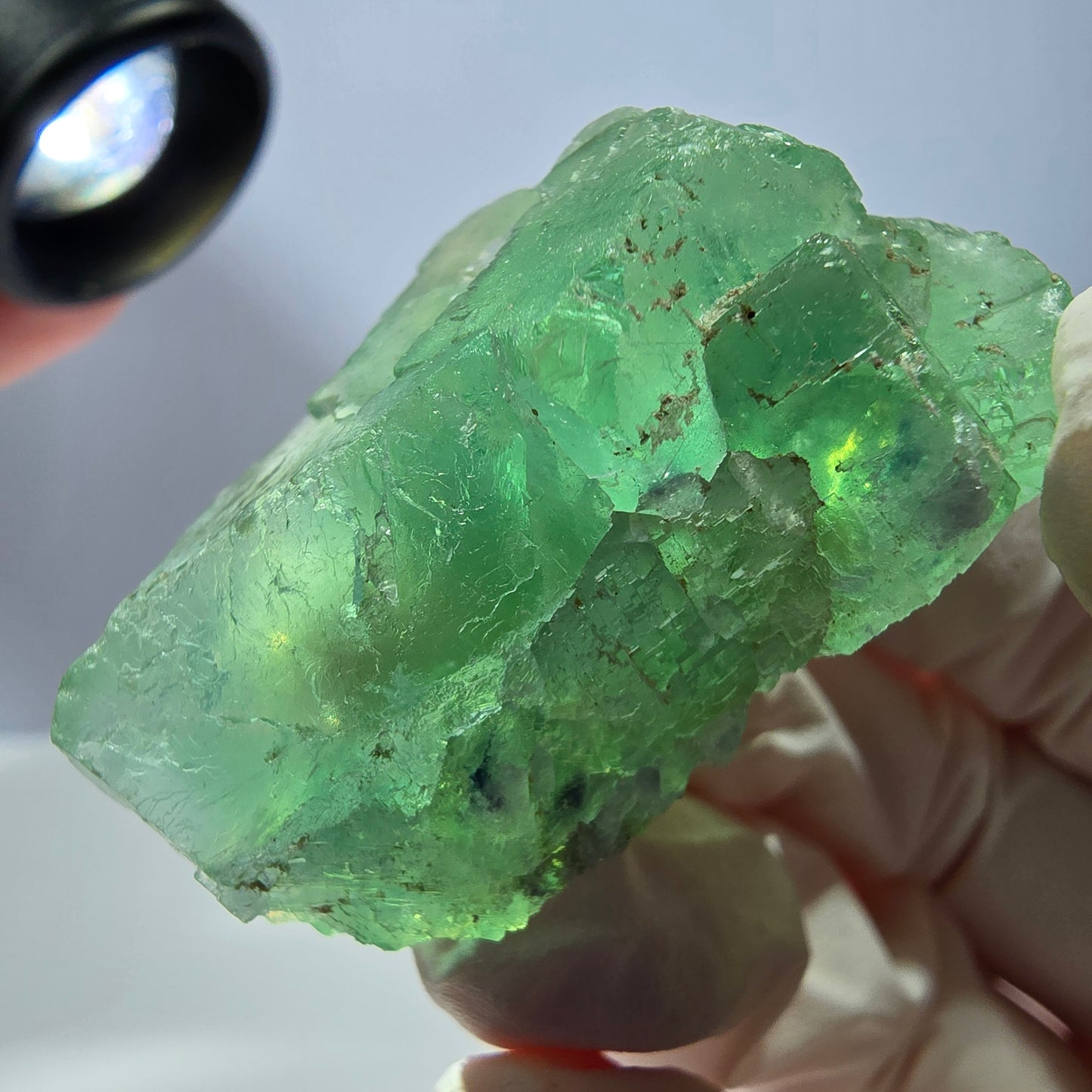 Spécimen de cube de fluorite fantôme transparente, vert parqueté, Okorusu, Namibie, 46 x 35 x 21 mm