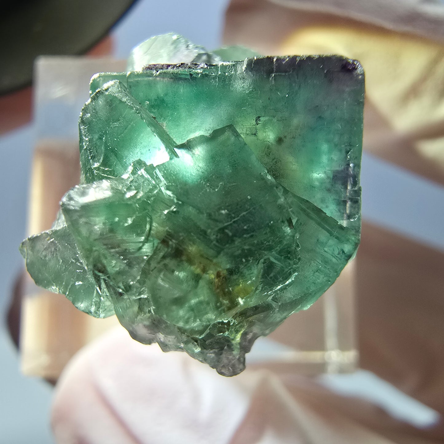 Spécimen de cube de fluorite fantôme, parqueté vert violet Okorusu, Namibie 25*21*14 mm