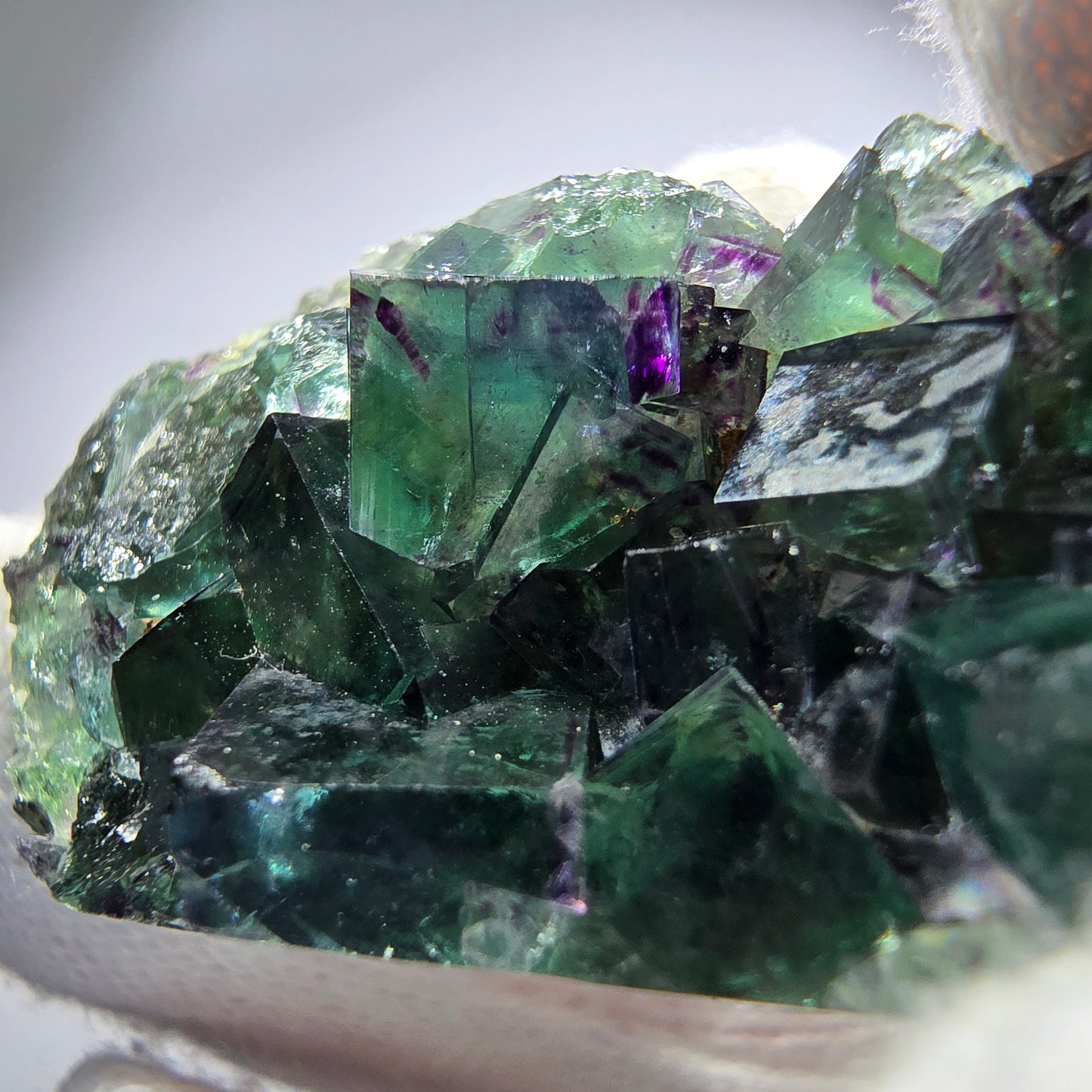 Spécimen rare de cube de fluorite fantôme, vert zonal et violet, Okorusu, Namibie, 54 x 23 x 12 mm