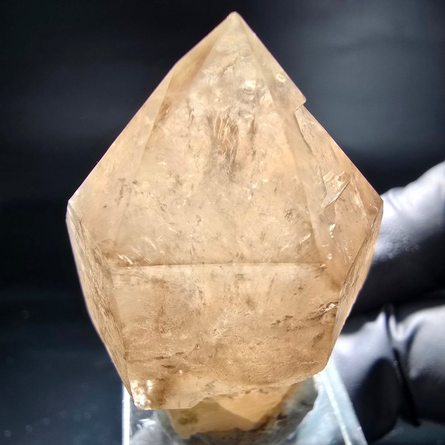 Schöne Phantom Rauchquarz Zepter Spitze Erongo, Namibia 44*31*26mm Sammlung