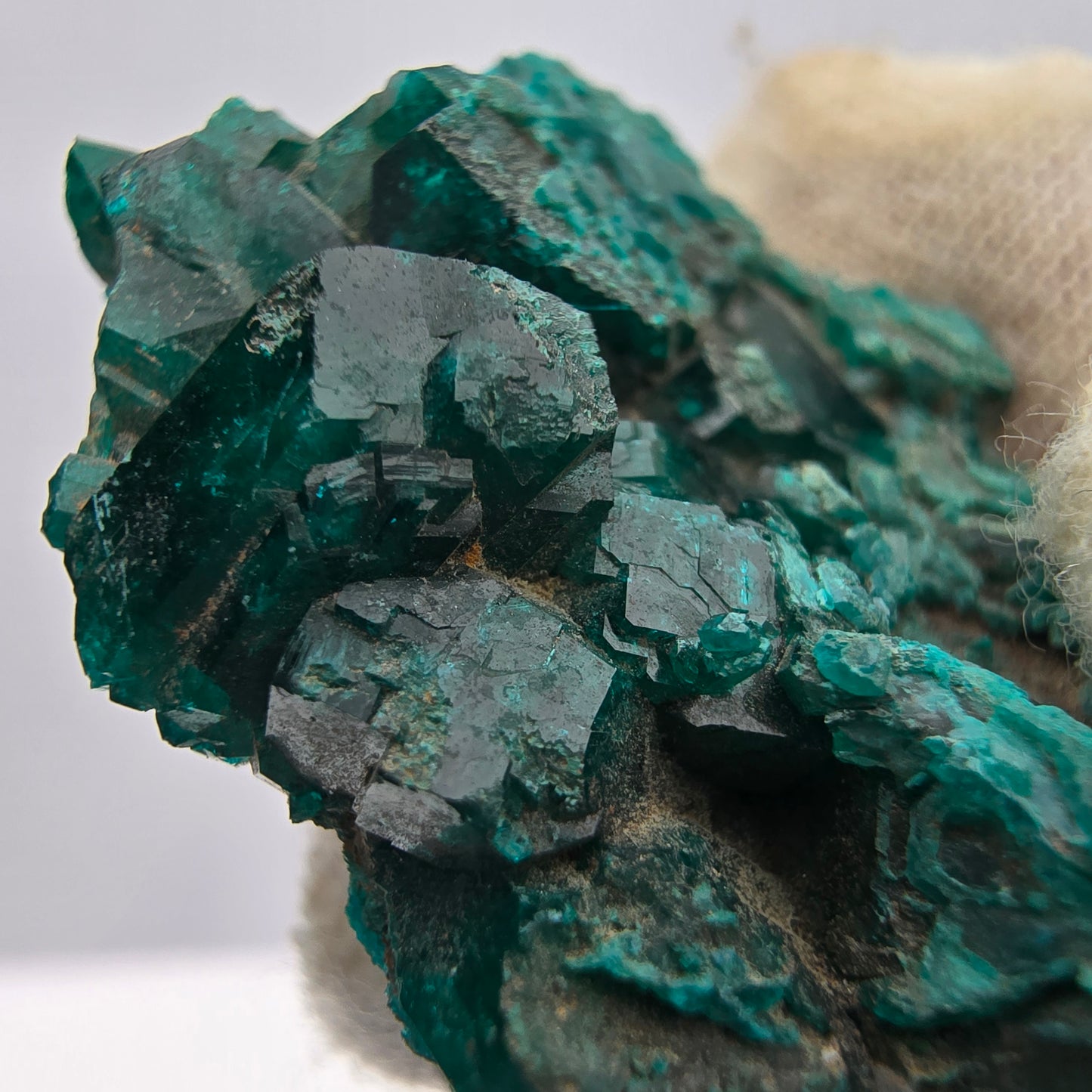 Seltene Diotas XX mit Azurit Stufe Kaokoveld, Namibia 33*30*8mm Sammlung