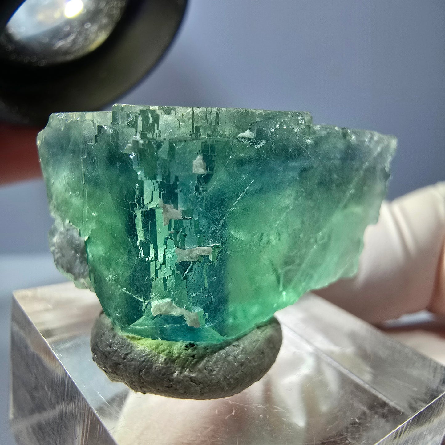 Cube de fluorite fantôme transparente parquetée, vert Okorusu, Namibie 28 x 23 x 18 mm