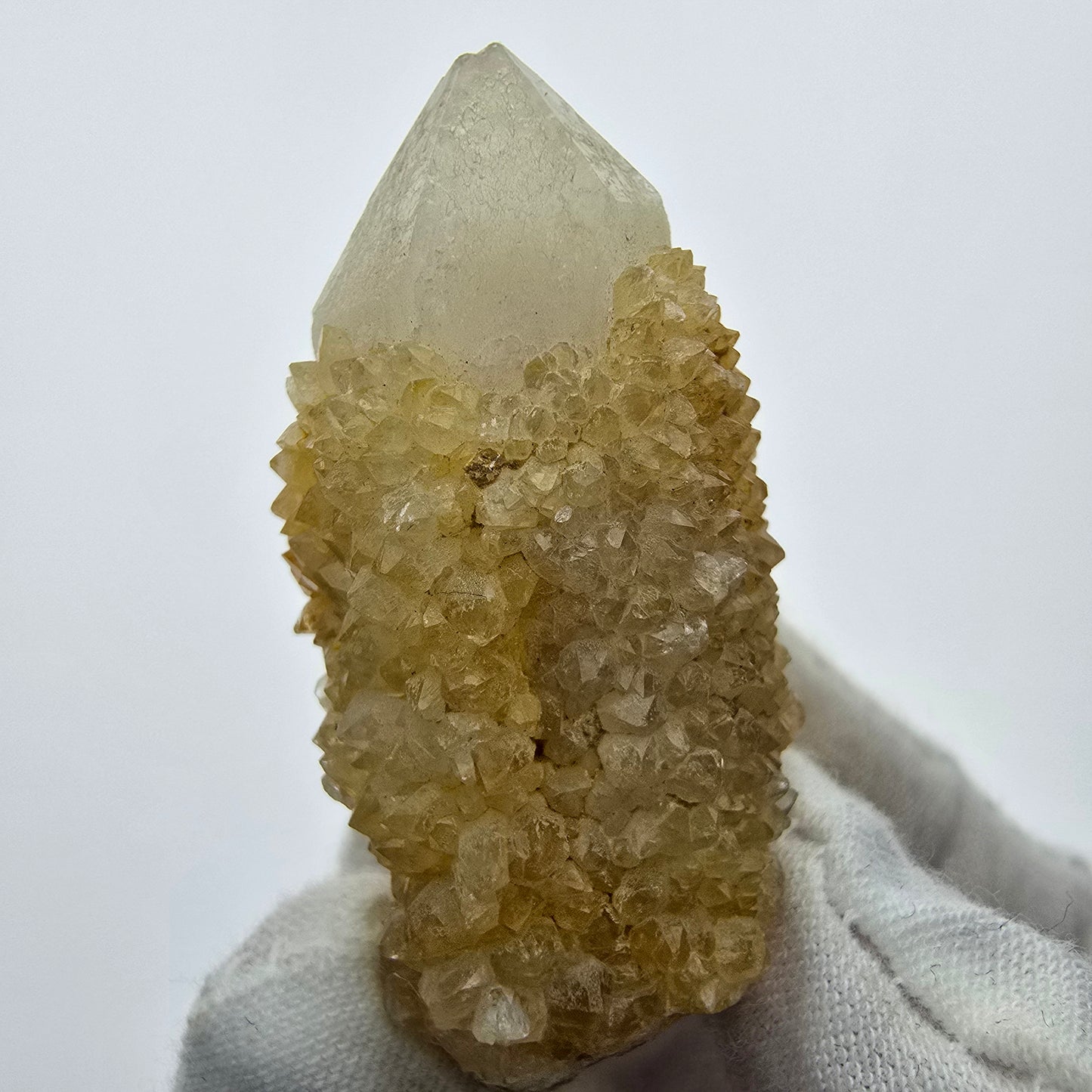 Kaktusquarz, Spirit Quarz XX Stufe Boekenhouthoek, Südafrika 49*29*23mm Sammlung