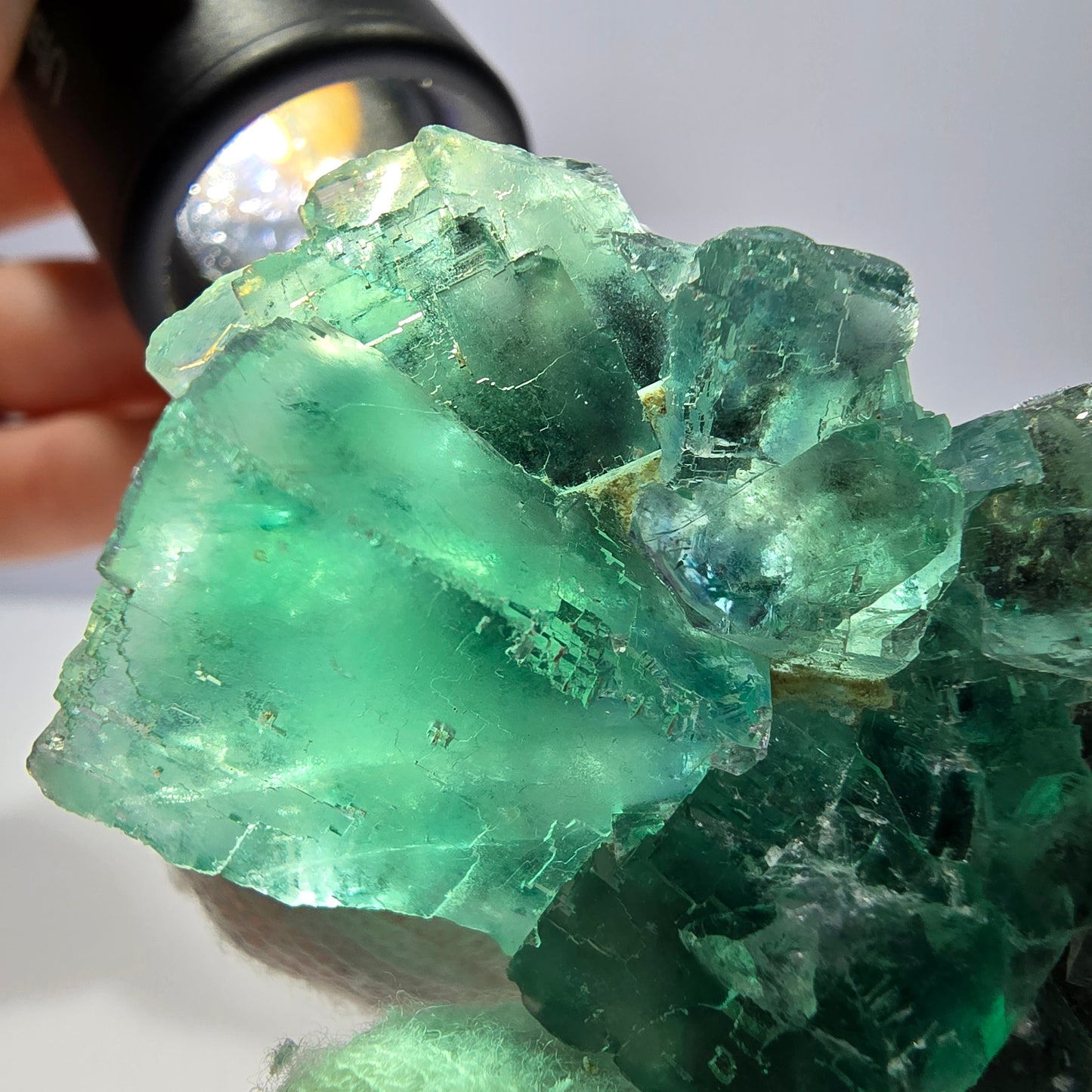 Rare spécimen de cube de fluorite fantôme, parqueté vert Okorusu, Namibie, 50 x 34 x 23 mm