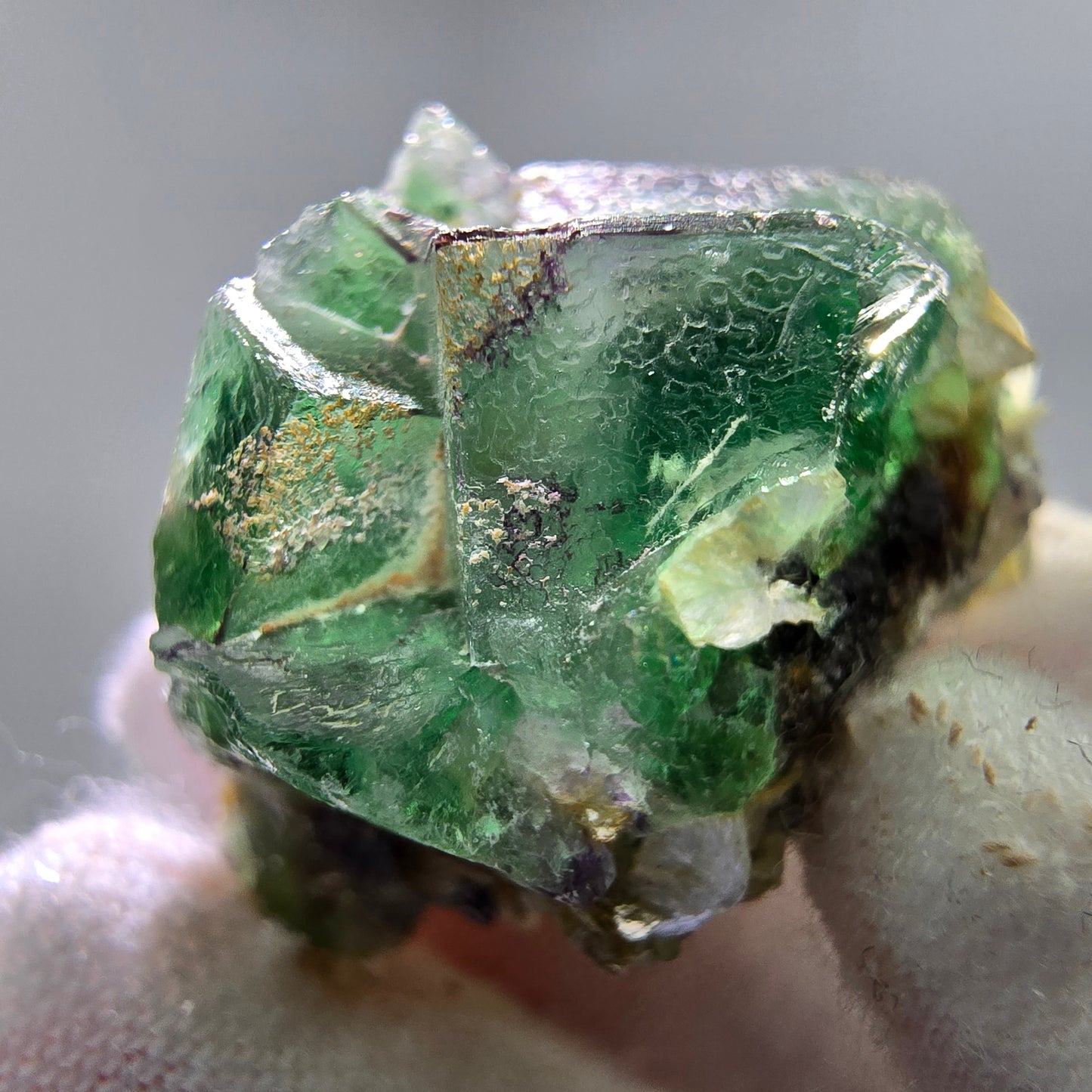 Phantom Fluorit Würfel, Muskovit Stufe Erongo, Namibia 27*20*20mm Sammlung