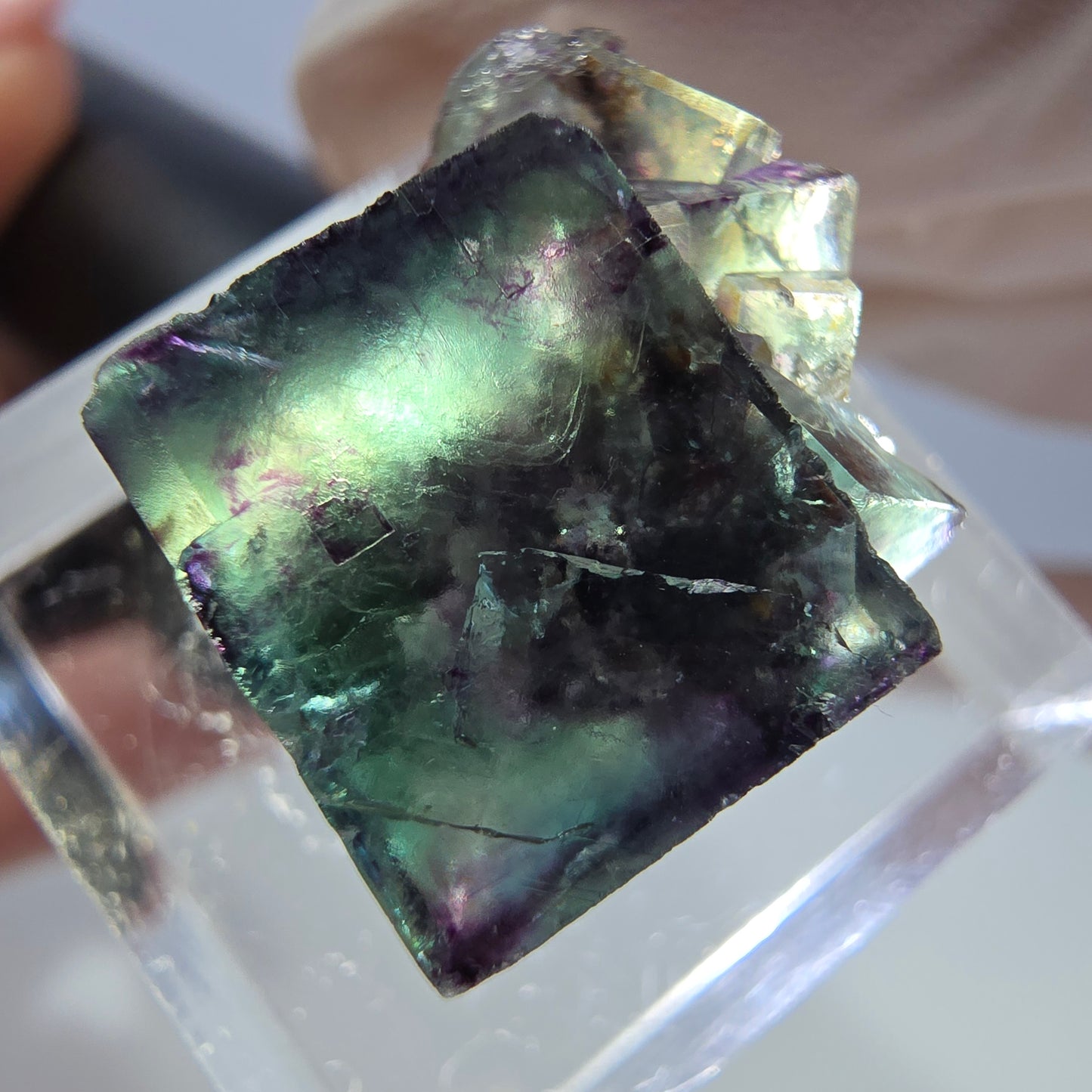 Spécimen de cube de fluorite fantôme, parqueté vert violet Okorusu, Namibie 19*18*14 mm