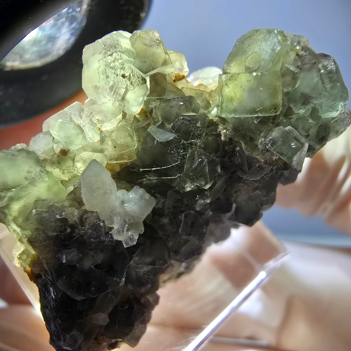 Phantom Fluorit Würfel, Quarz Stufe, grün Okorusu, Namibia 31*25*20mm