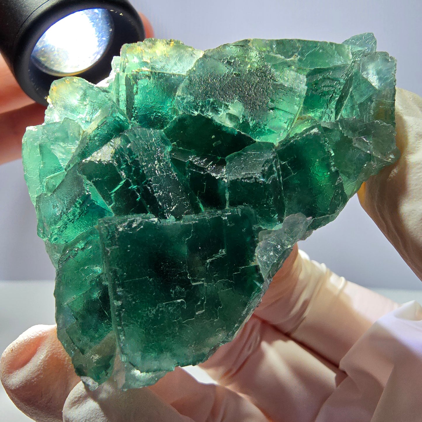 Rare spécimen de cube de fluorite fantôme, parqueté vert Okorusu, Namibie, 61 x 48 x 24 mm