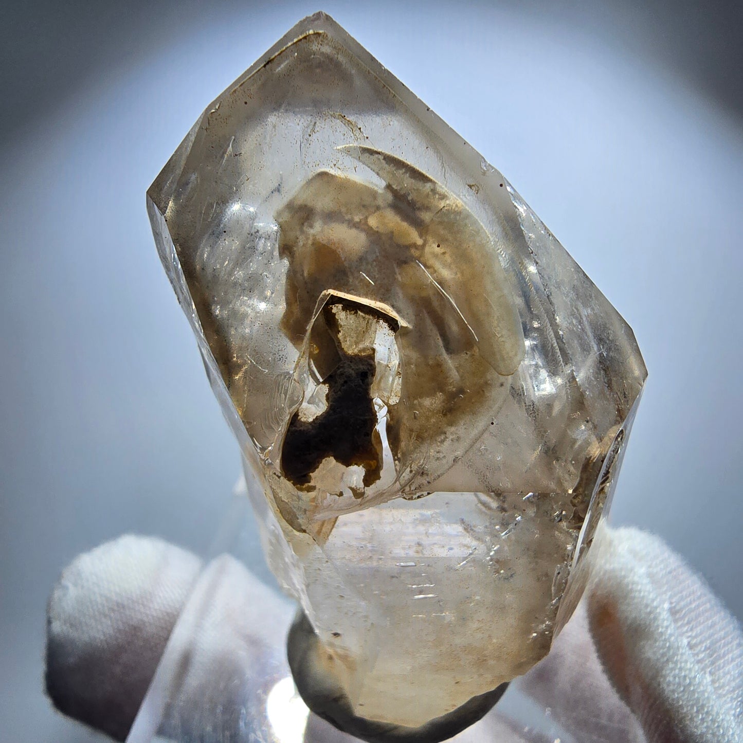 Large Phantom Smoky Quartz Window Scepter Point Goboboseb, Namibia 59*33*29mm