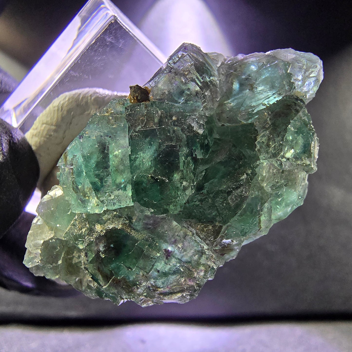 Seltene Phantom Fluorit XX Würfel Stufe grün lila 46*20*19mm aus Okorusu, Namibia