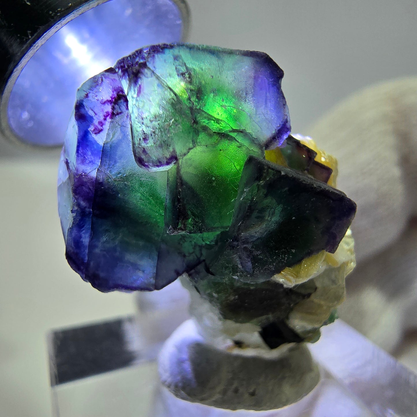 Fluorite fantôme zonale, muscovite, tourmaline Schörl, quartz fumé Erongo, Namibie 27*20*17 mm