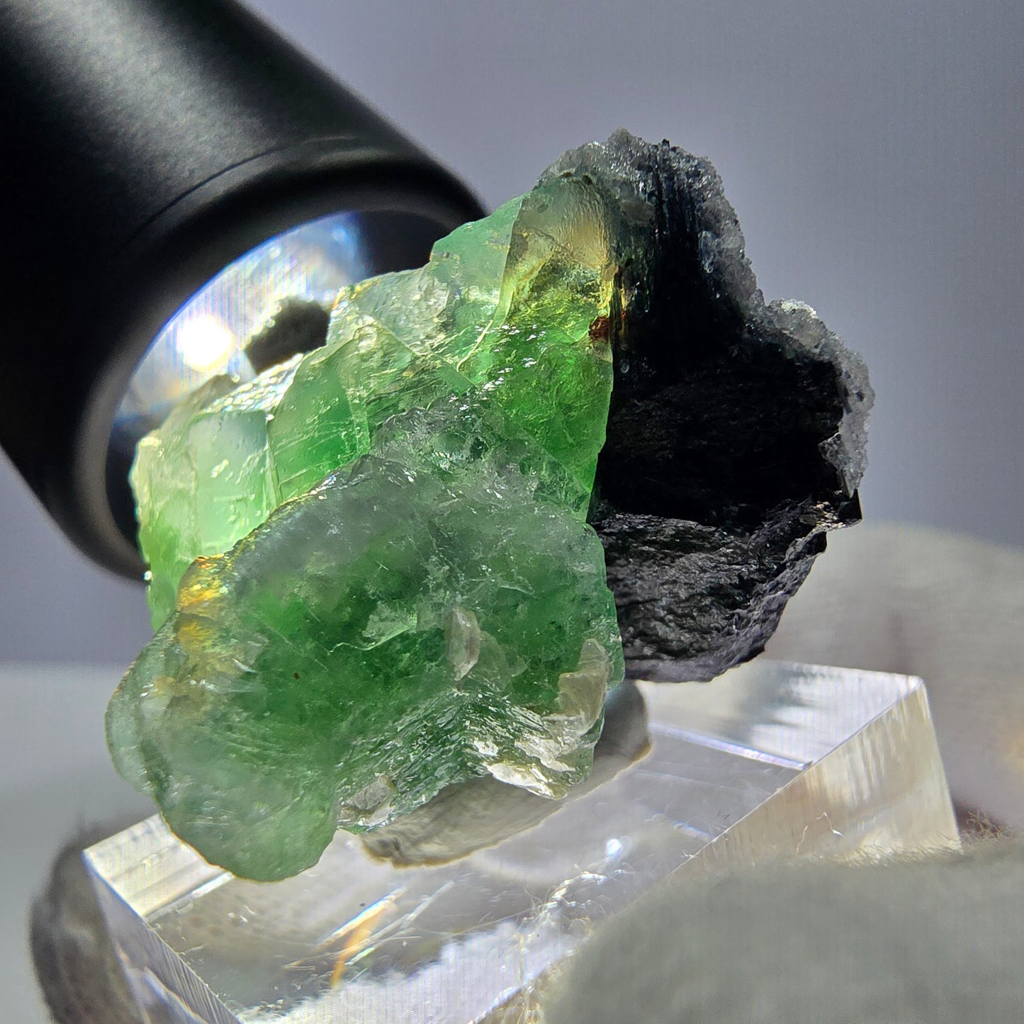 Fluorite fantôme, tourmaline Schörl, muscovite, hyalite, stade Erongo, Namibie 27*25*20 mm