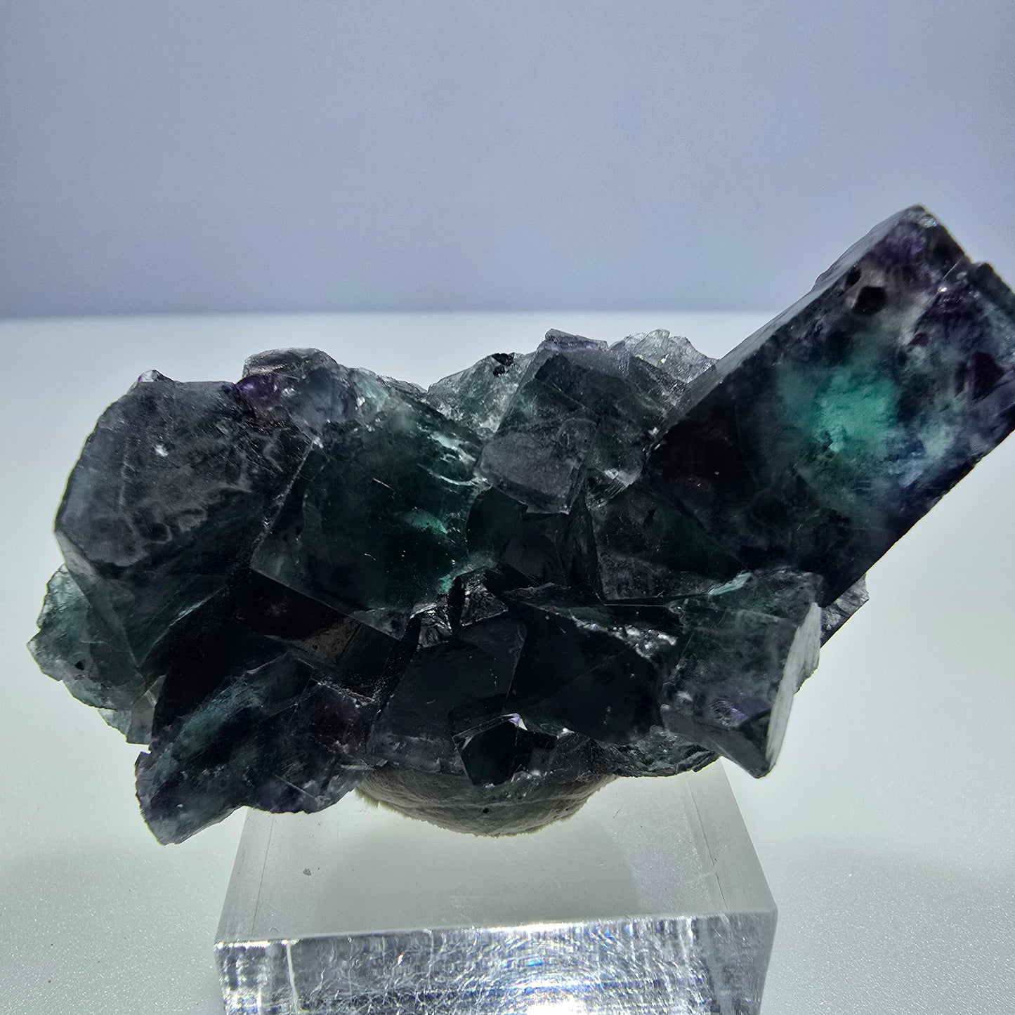 Spécimen de cube de fluorite fantôme transparente, vert-violet zonal, Okorusu, Namibie, 57 x 32 x 18 mm