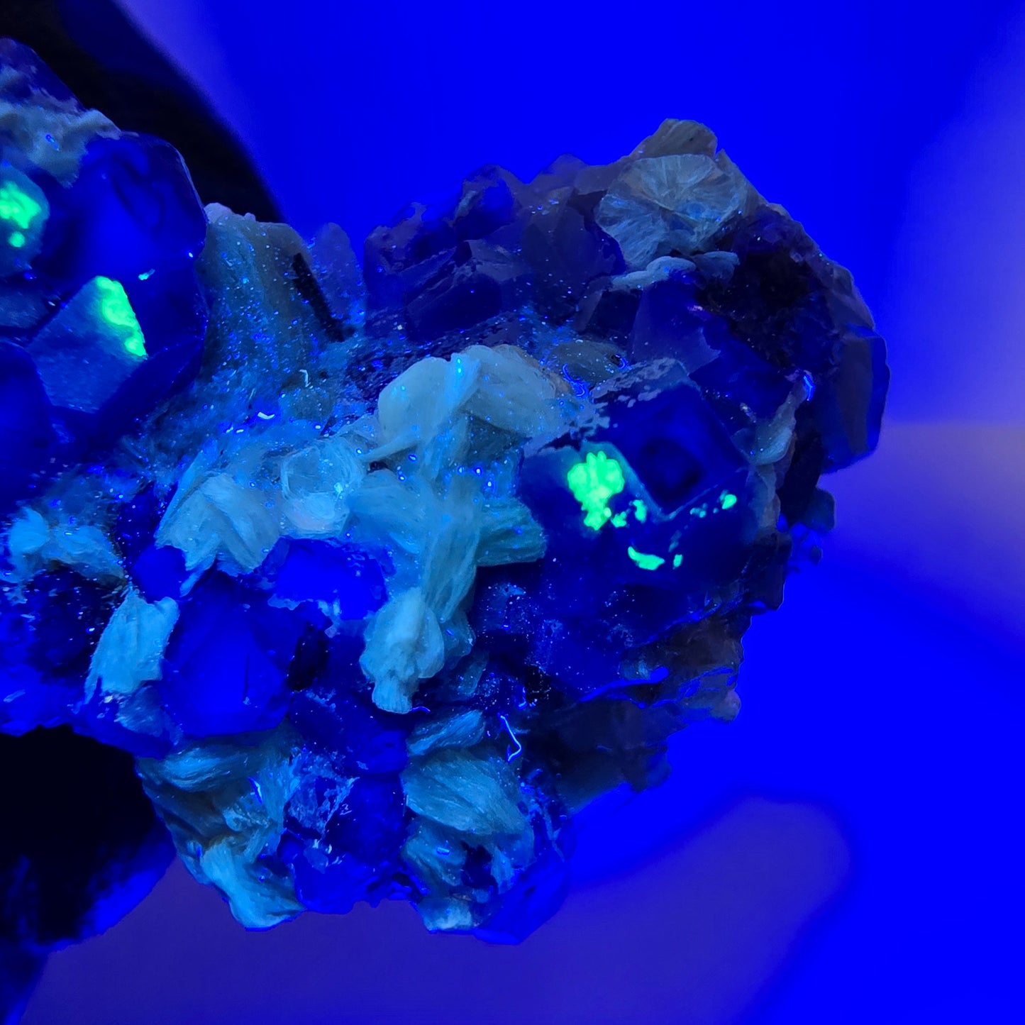 Cube de fluorite fantôme zonal, tourmaline muscovite Schörl hyalite Erongo, Namibie 39 x 24 x 12 mm
