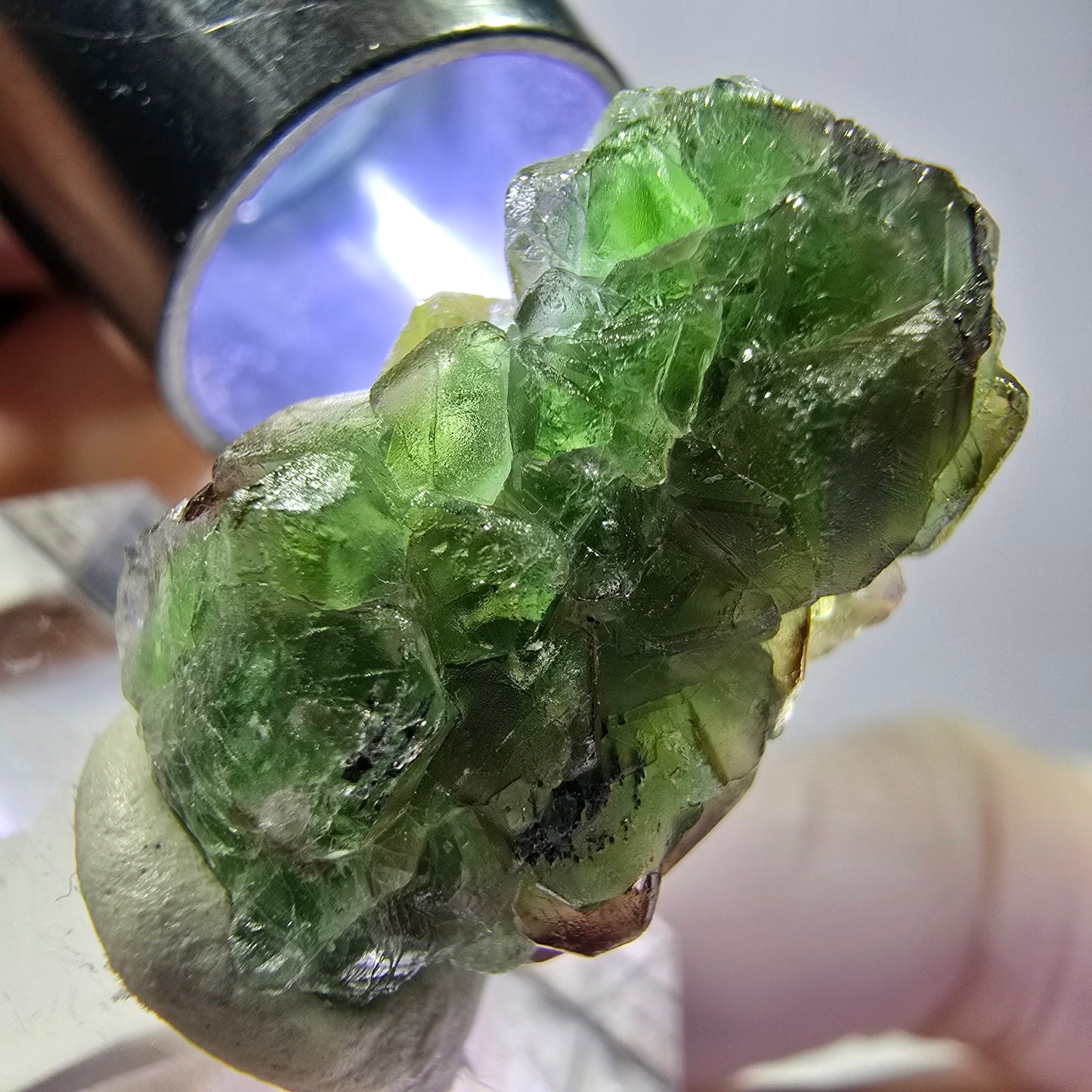 Cube de fluorite fantôme, zonal, spécimen de tourmaline Schorl, Erongo, Namibie, 23 x 15 x 14 mm