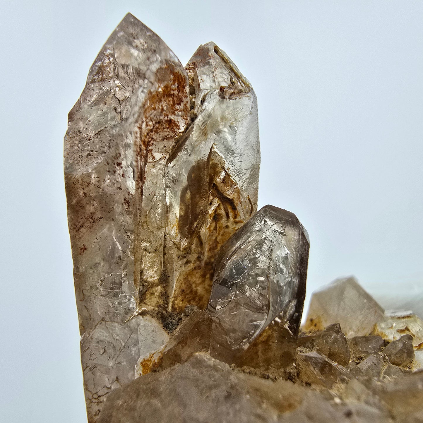 Enhydro Phantom Rauchquarz Zepter auf Matrix Goboboseb, Namibia 67*60*37mm