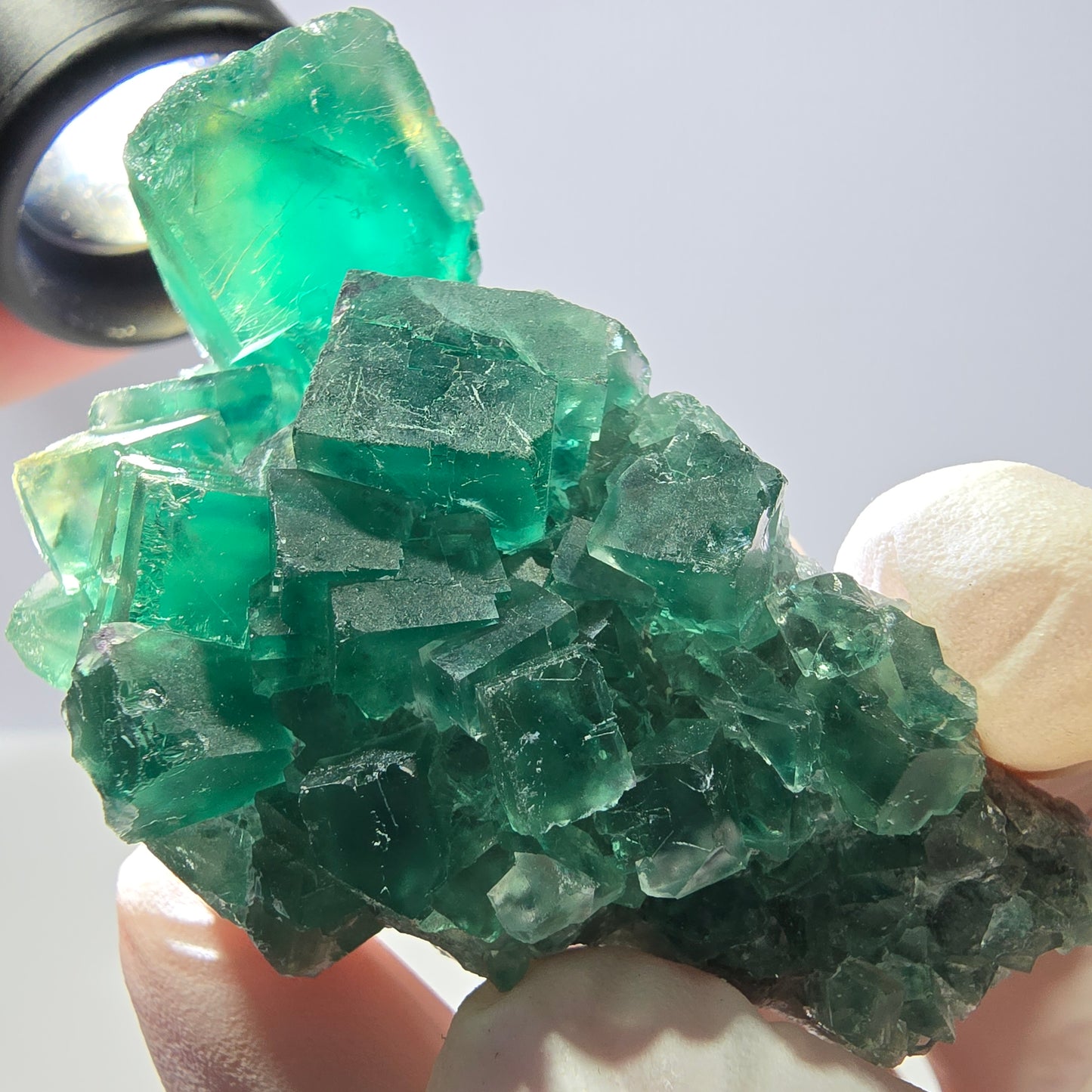 Rare spécimen de cube de fluorite fantôme, parqueté vert Okorusu, Namibie, 62 x 32 x 26 mm