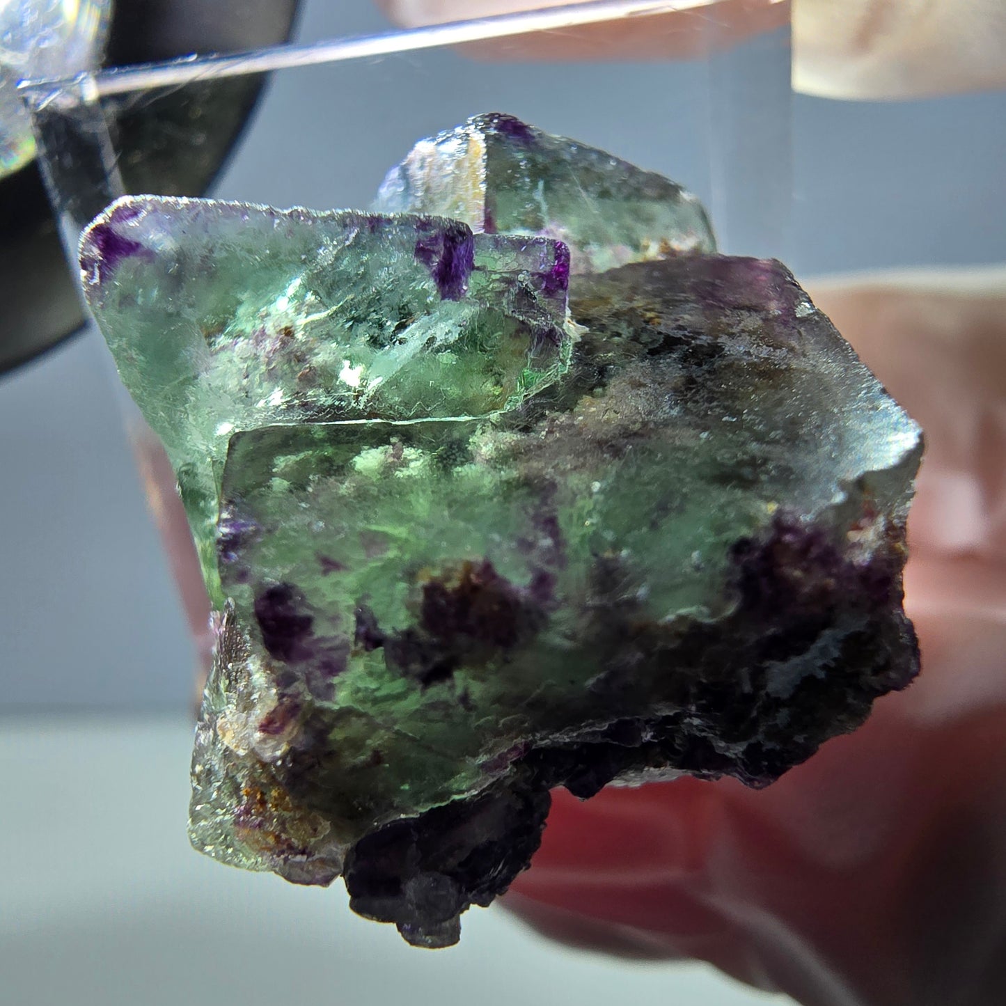 Spécimen de cube de fluorite fantôme, vert violet, Okorusu, Namibie, 24 x 20 x 20 mm