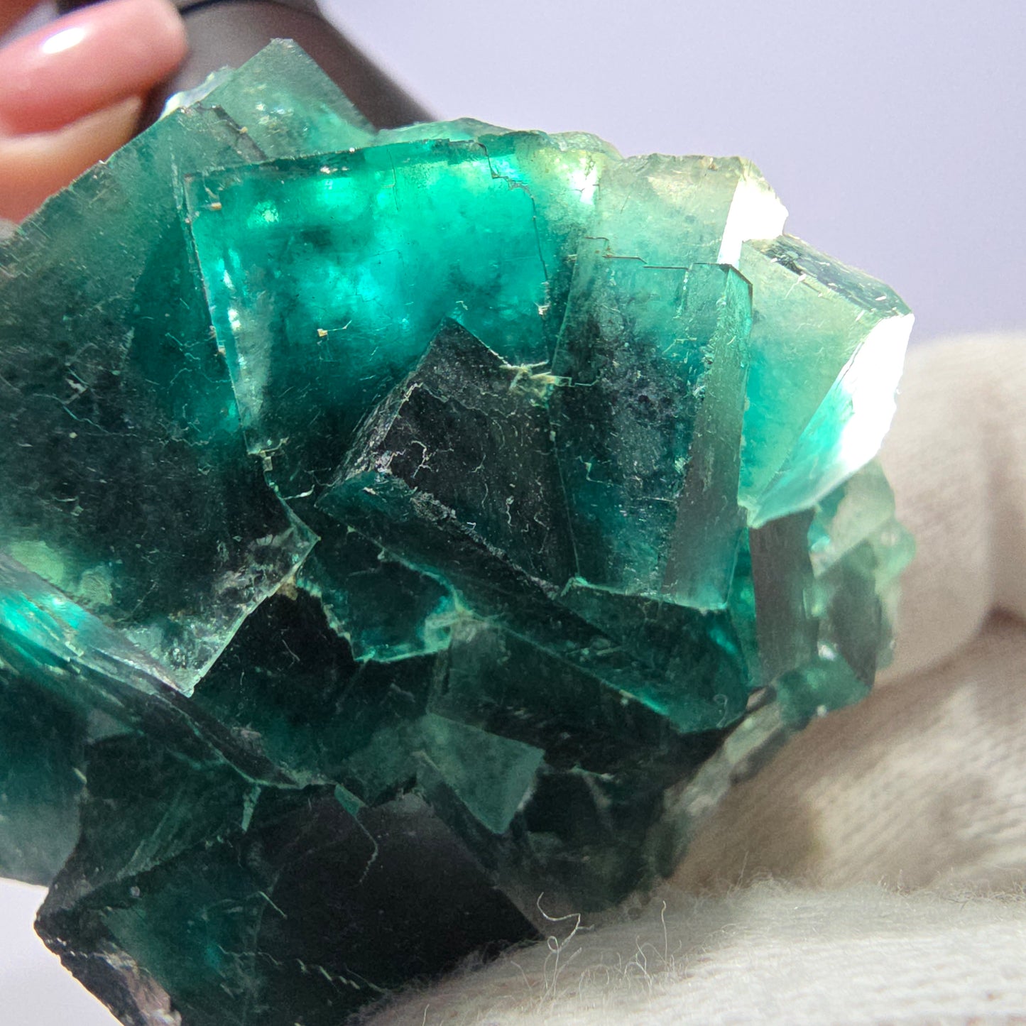 Rare spécimen de cube de fluorite fantôme, parqueté vert Okorusu, Namibie, 60 x 46 x 30 mm