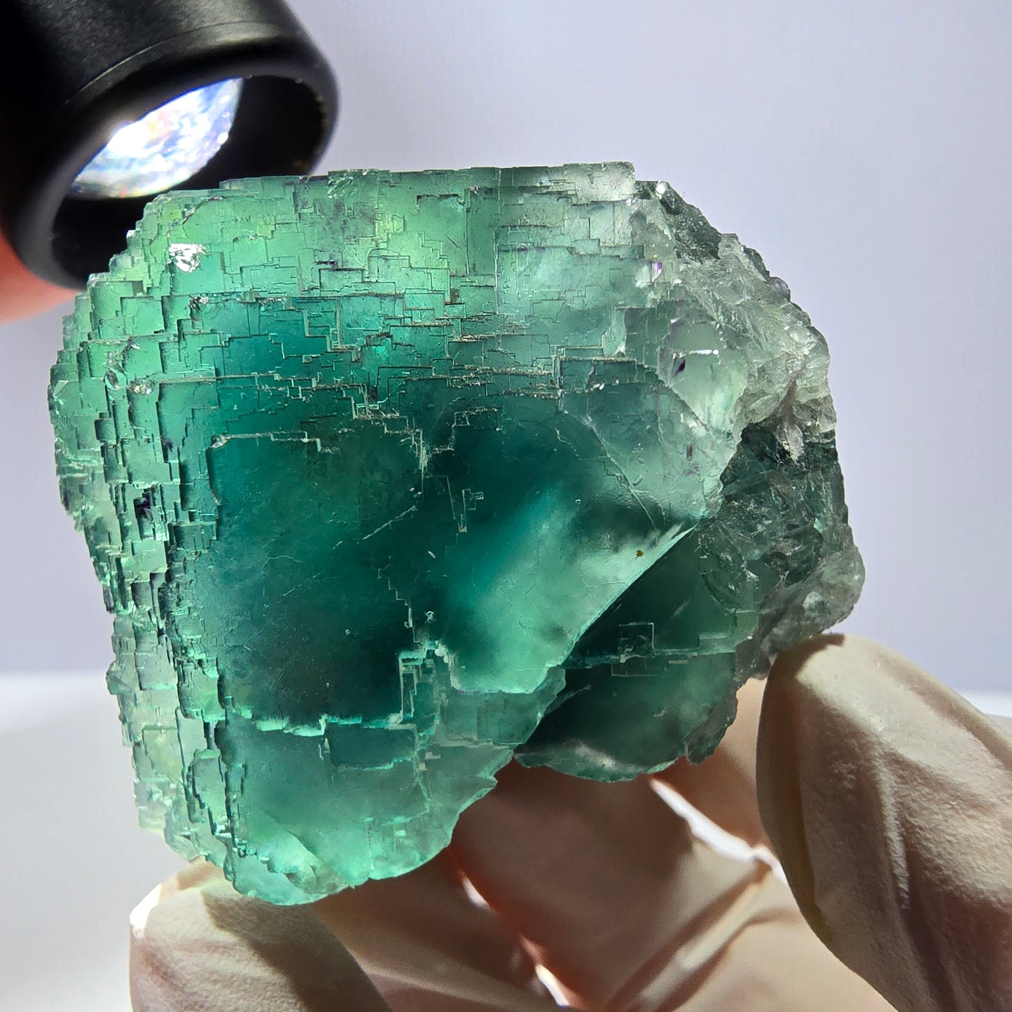 Spécimen de cube de fluorite fantôme transparente, vert parqueté, Okorusu, Namibie, 60 x 44 x 40 mm
