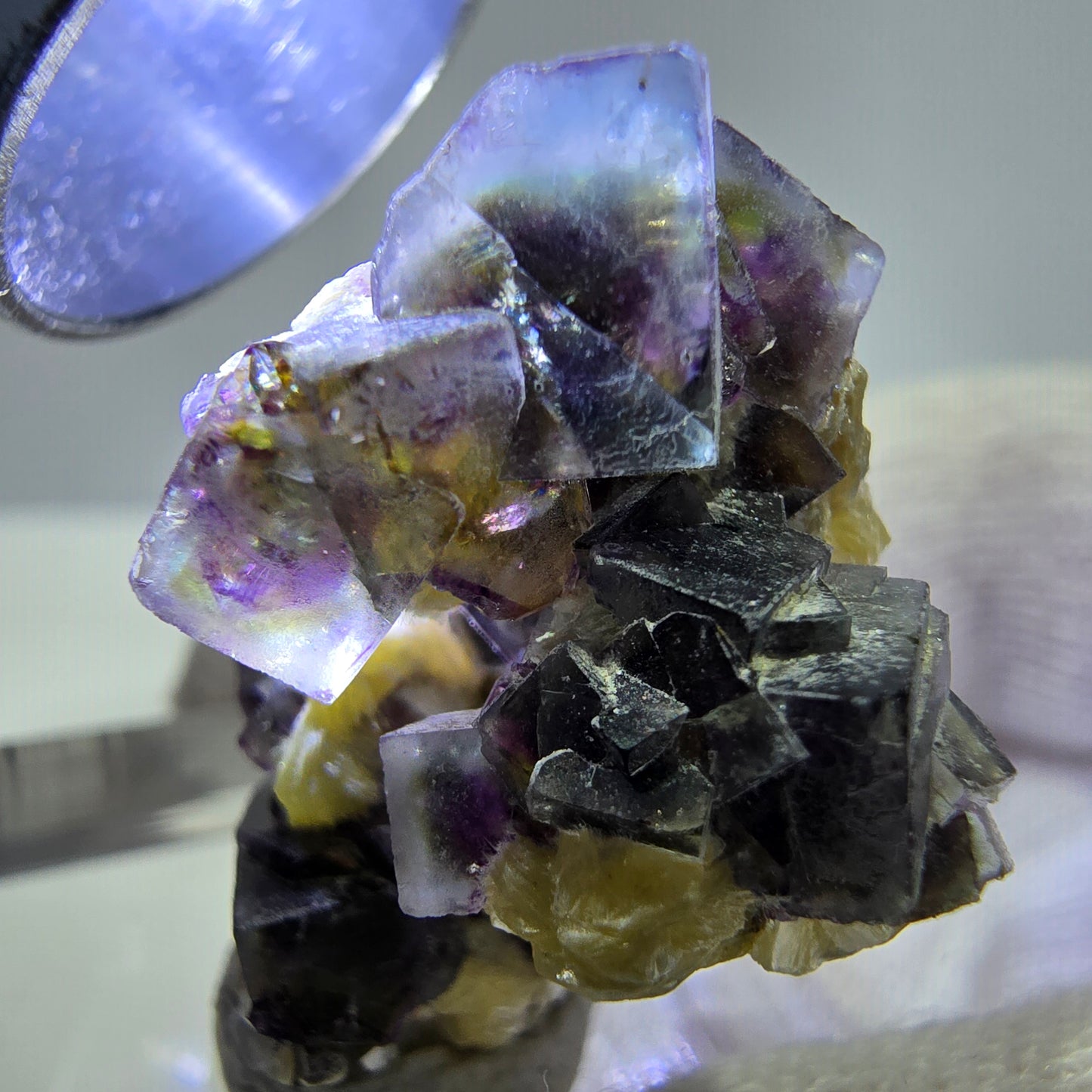 Cubes de fluorite fantôme colorés, spécimen de muscovite, Erongo, Namibie, 28 x 20 x 20 mm