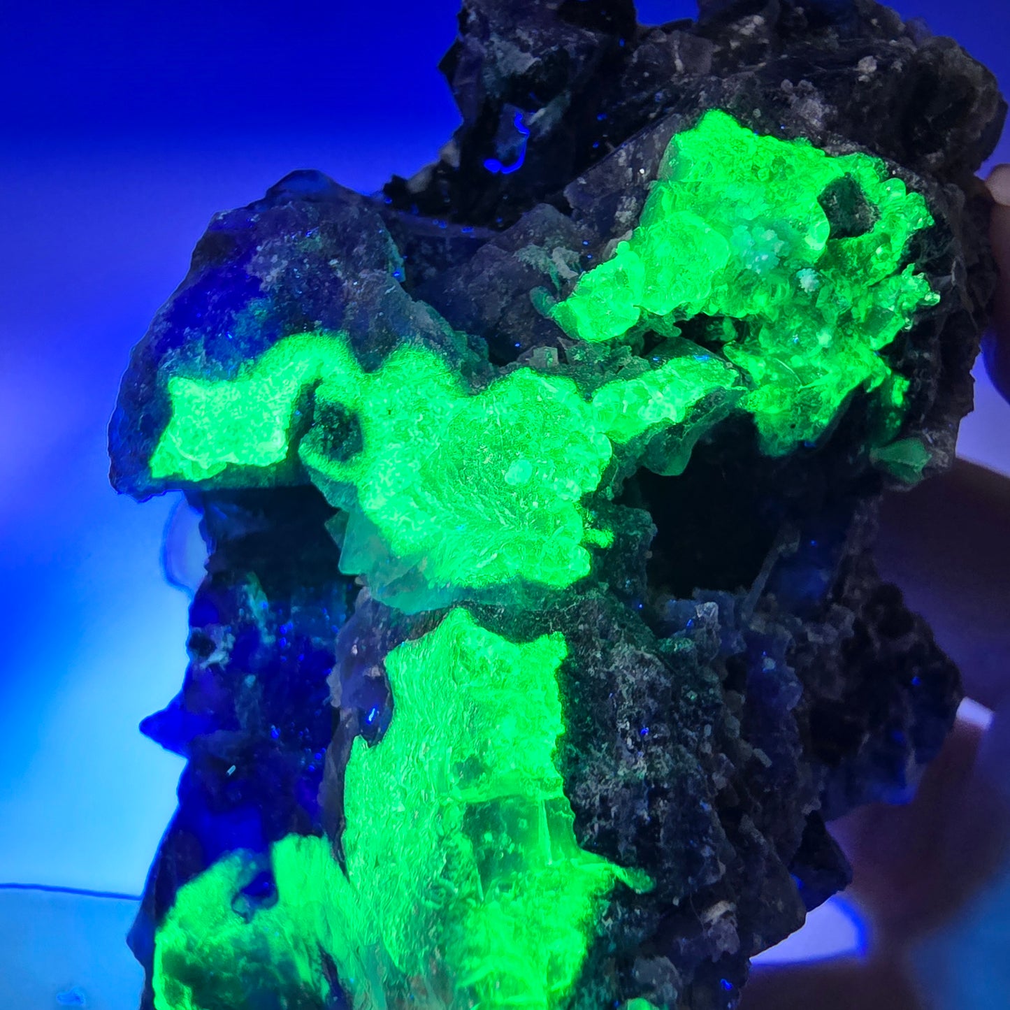Fluorite fantôme colorée, hyalite, tourmaline schol, muscovite, Erongo, Namibie, 80 x 46 x 60 mm