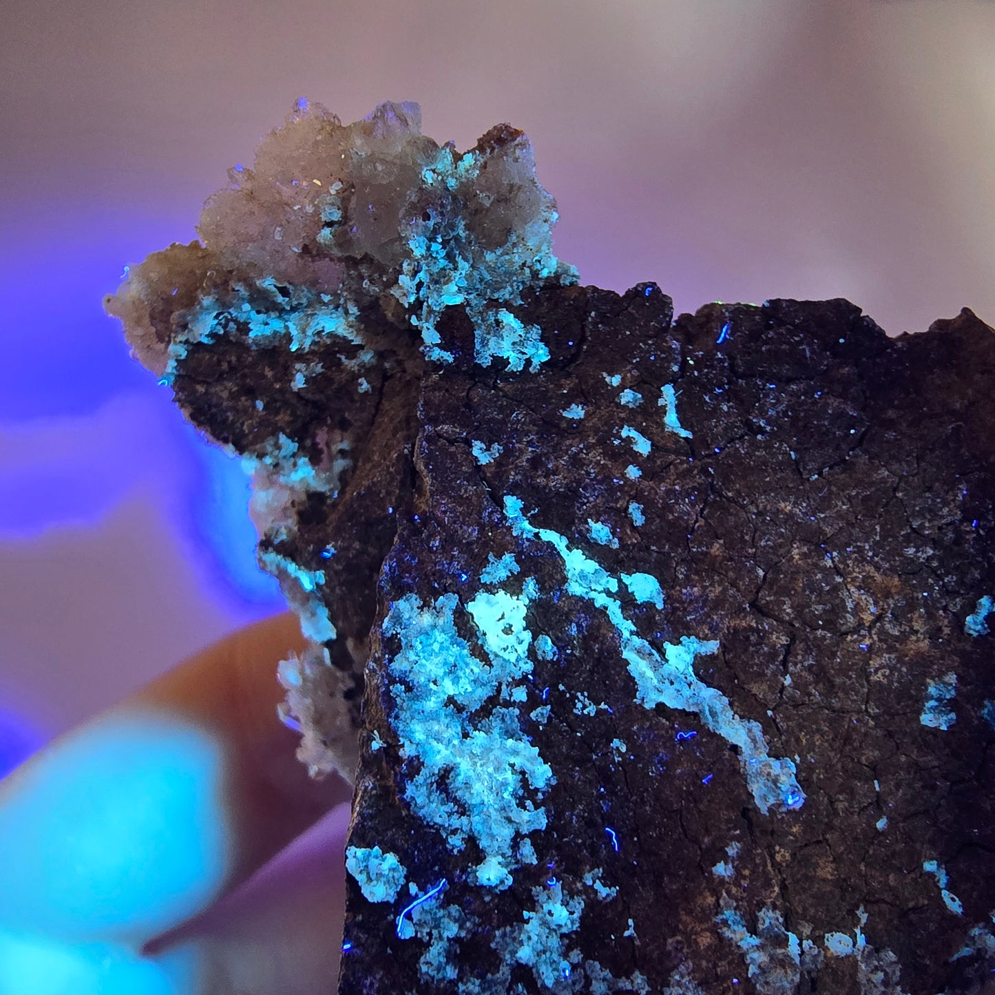 Quartz fumé fantôme DT, calcite UV sur matrice, spécimen Valentine Pocket, Namibie, 103 x 51 x 30 mm