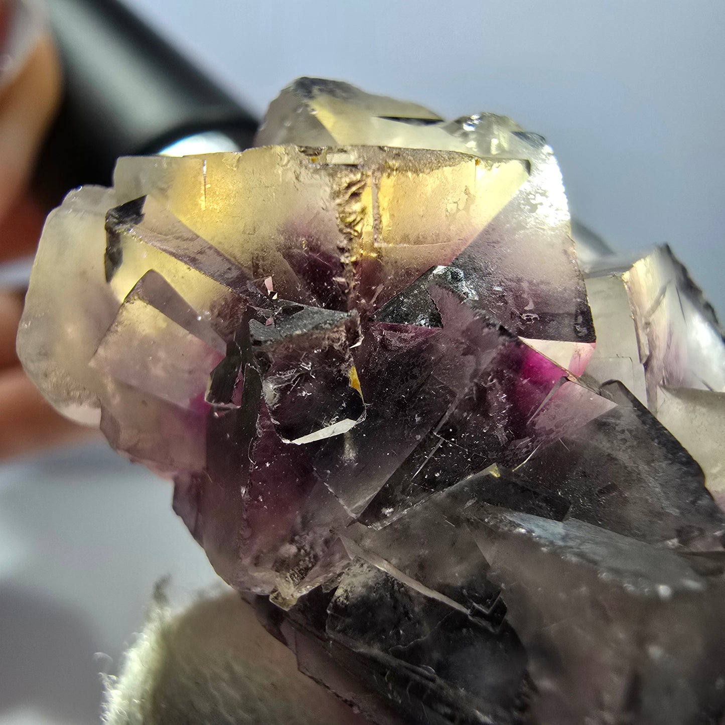 Rare spécimen de cube de fluorite fantôme, violet et blanc, Okorusu, Namibie, 44 x 38 x 26 mm