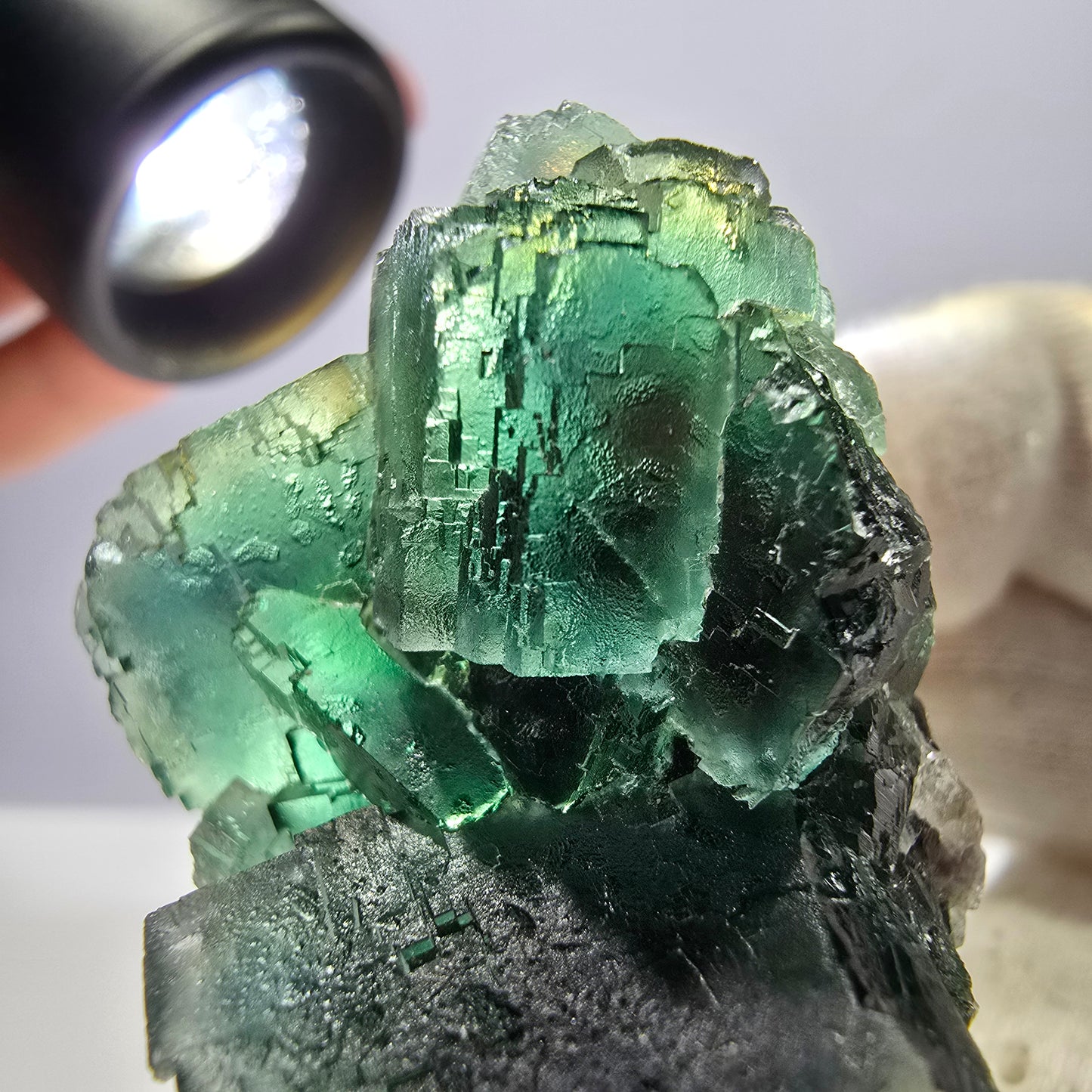Rare spécimen de cube de fluorite fantôme, parqueté vert Okorusu, Namibie, 47 x 31 x 28 mm