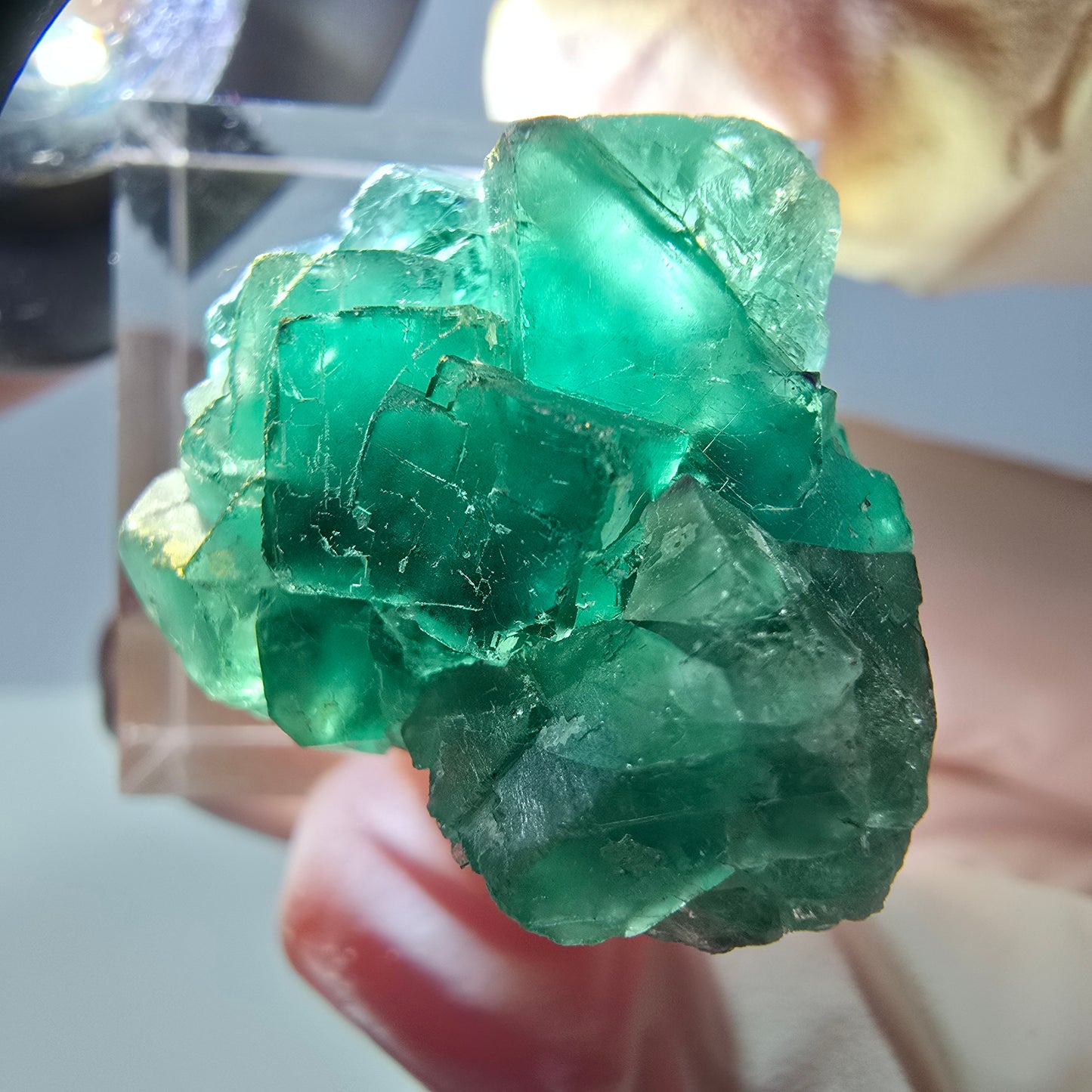 Phantom Fluorit Würfel Stufe, grün parkettiert Okorusu, Namibia 28*24*18mm