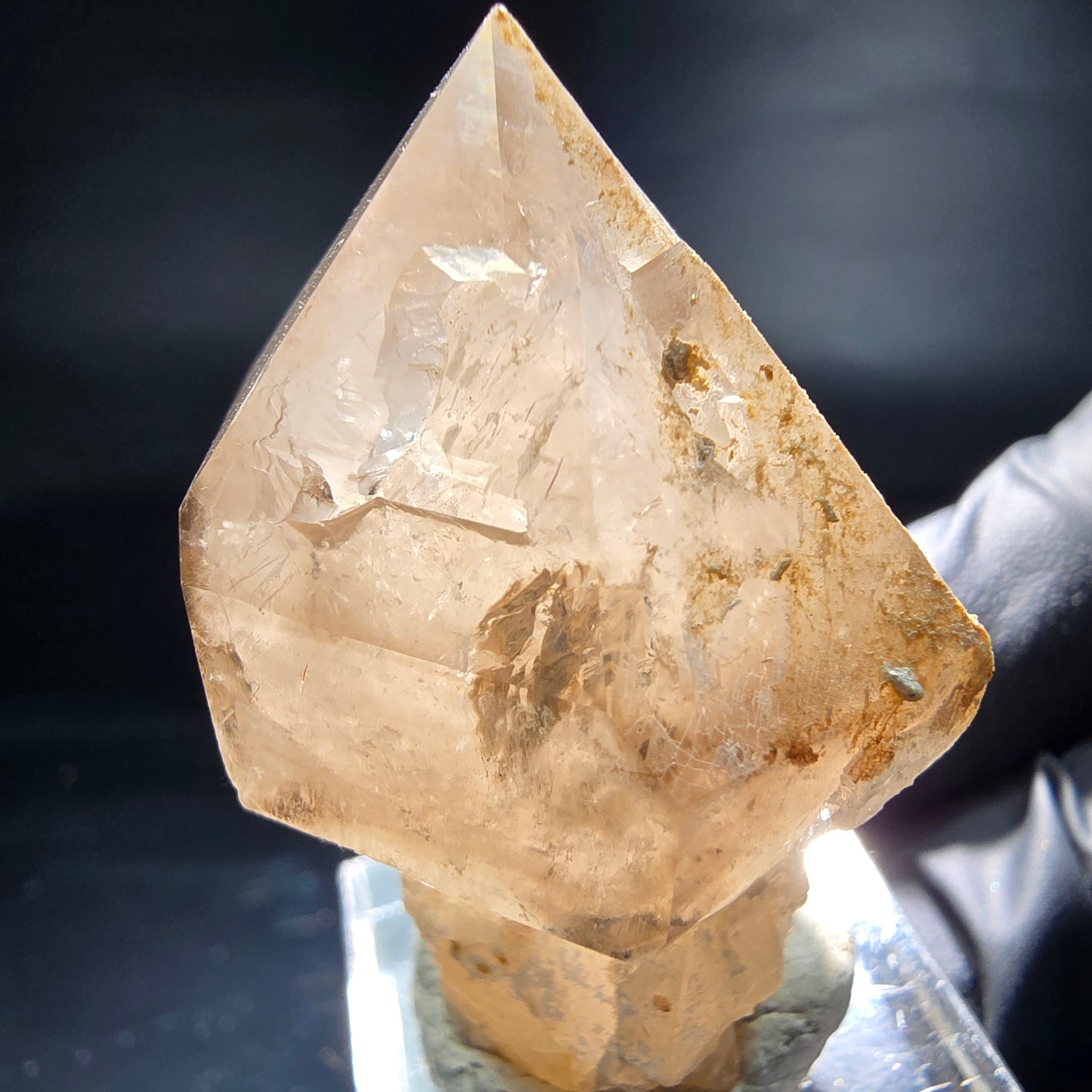 Schöne Phantom Rauchquarz Zepter Spitze Erongo, Namibia 44*31*26mm Sammlung