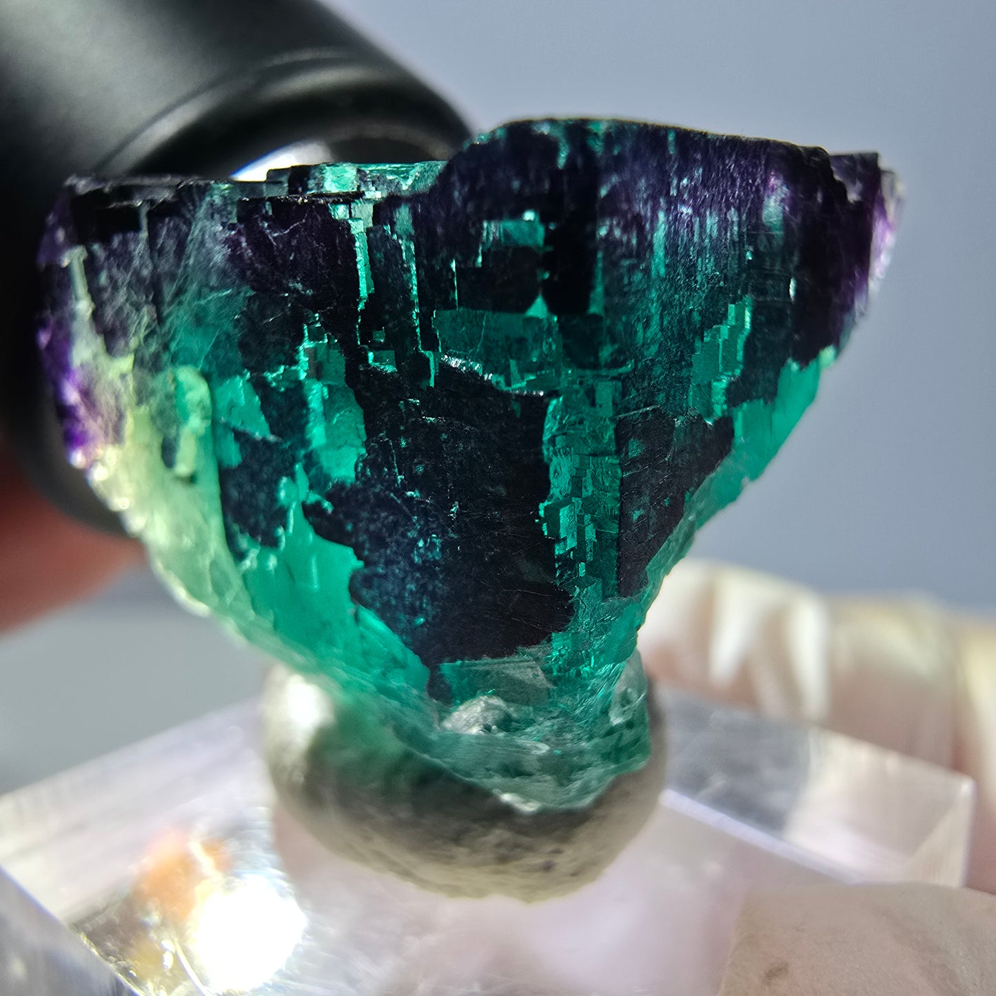 Phantom Fluorit Würfel Stufe grün lila zonal 11:11 Angel Pocket, Namibia 25*25*24mm