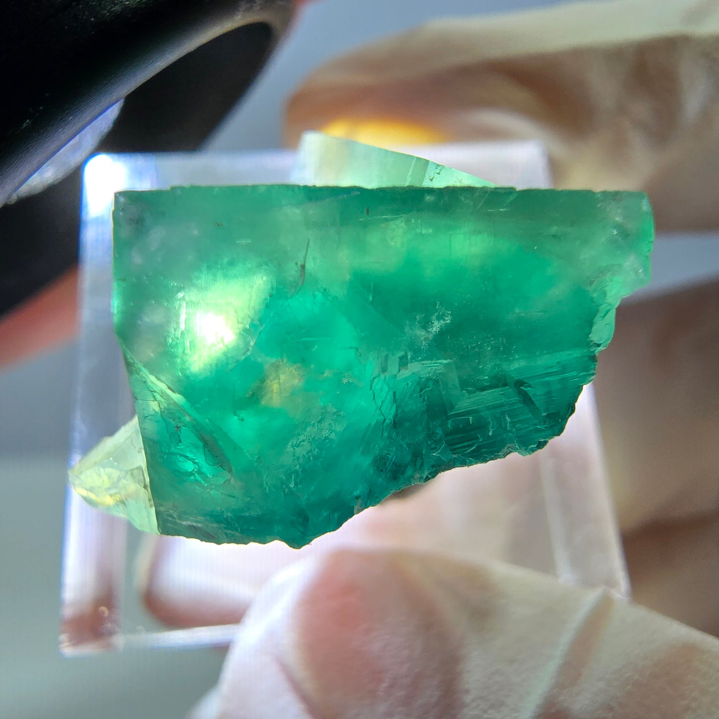 Phantom Fluorit Würfel Stufe, grün parkettiert Okorusu, Namibia 23*22*13mm