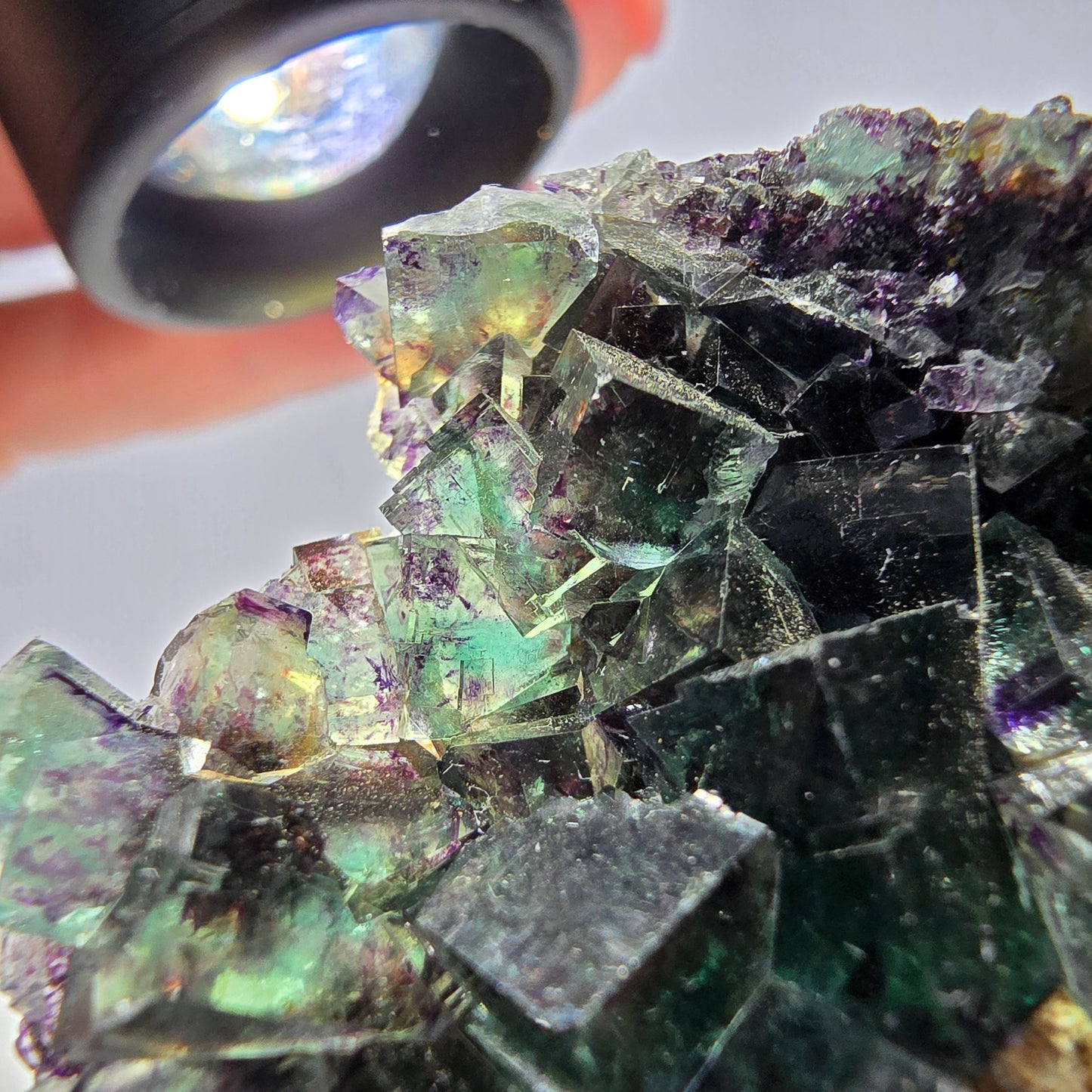Grand spécimen de cube de fluorite fantôme, vert violet, Okorusu, Namibie, 83 x 55 x 29 mm