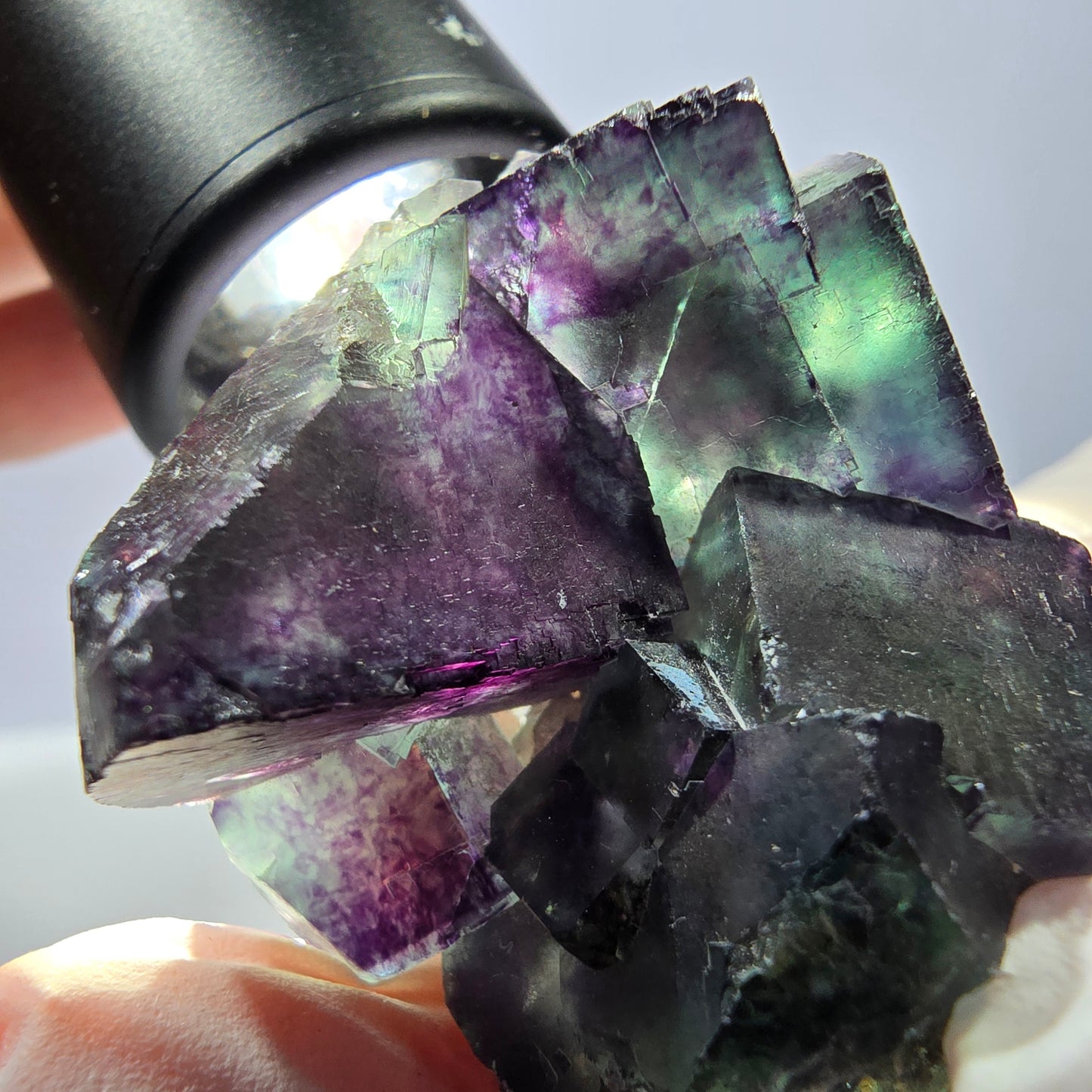 Spécimen de cube de fluorite fantôme parqueté vert violet Okorusu, Namibie 47*36*22mm