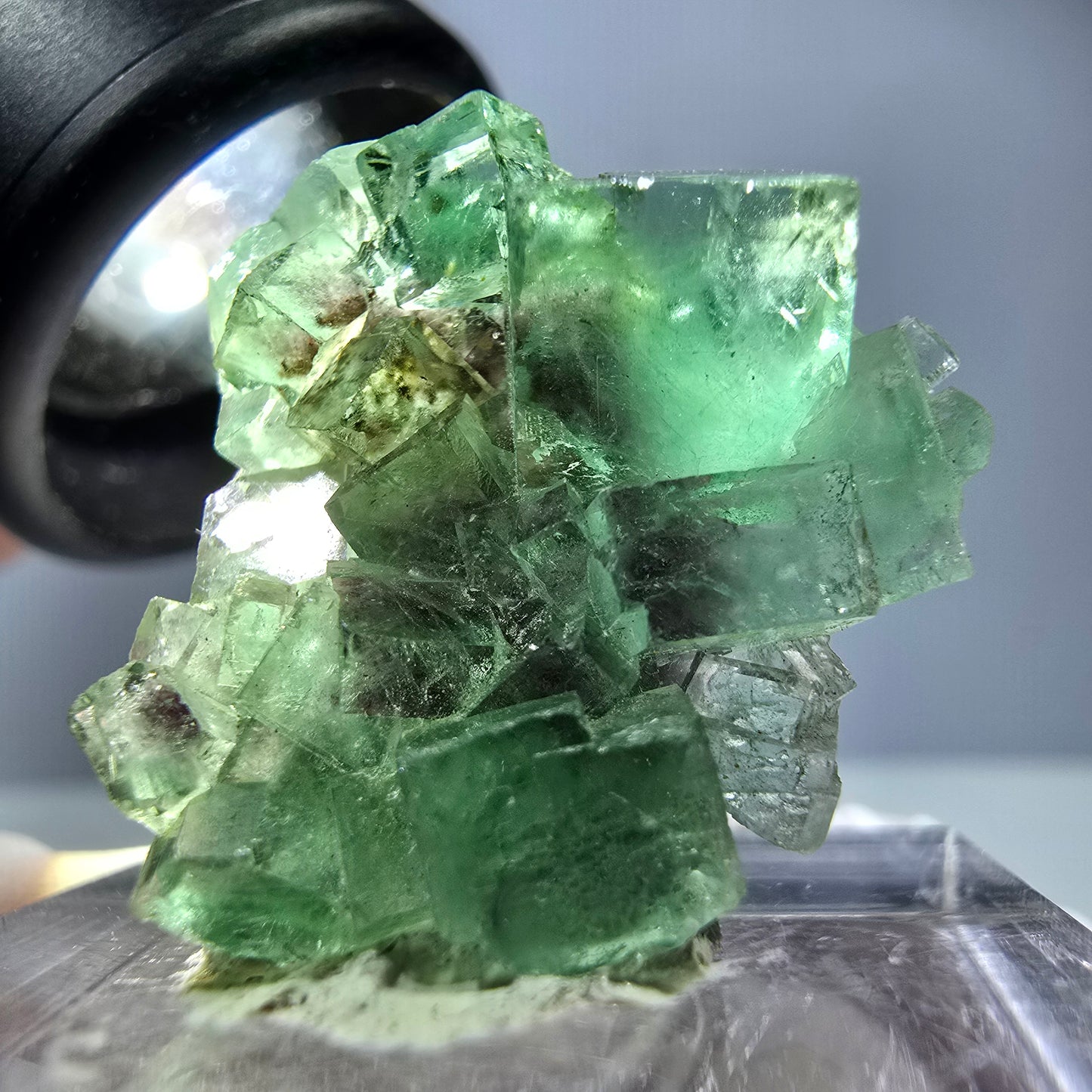 Spécimen de cube de fluorite fantôme, vert violet, Okorusu, Namibie, 25 x 24 x 15 mm