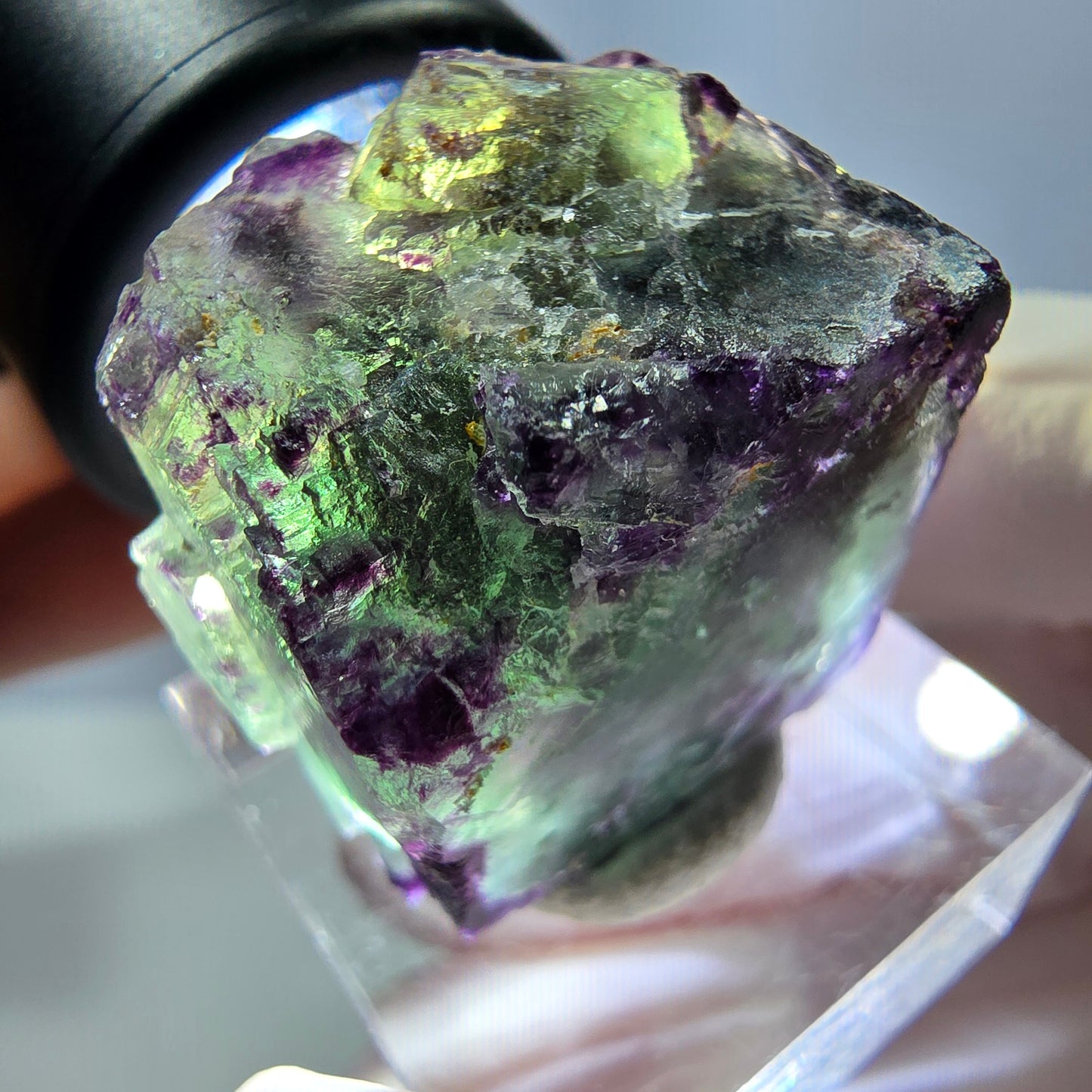 Phantom Fluorit Würfel Stufe, parkettiert, zonal Okorusu, Namibia 24*22*18mm