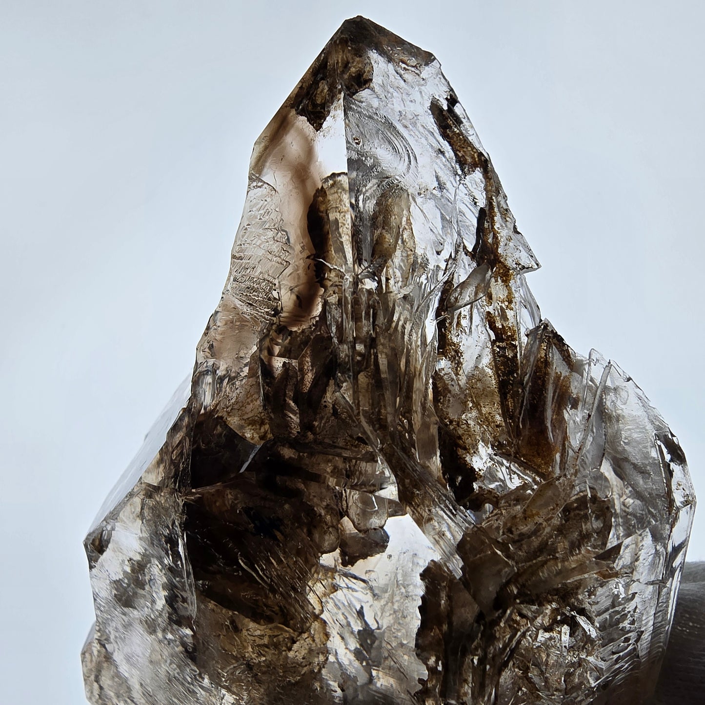 Sceptre de poche Saint-Valentin en quartz fumé fantôme squelette, Namibie 122 x 72 x 32 mm
