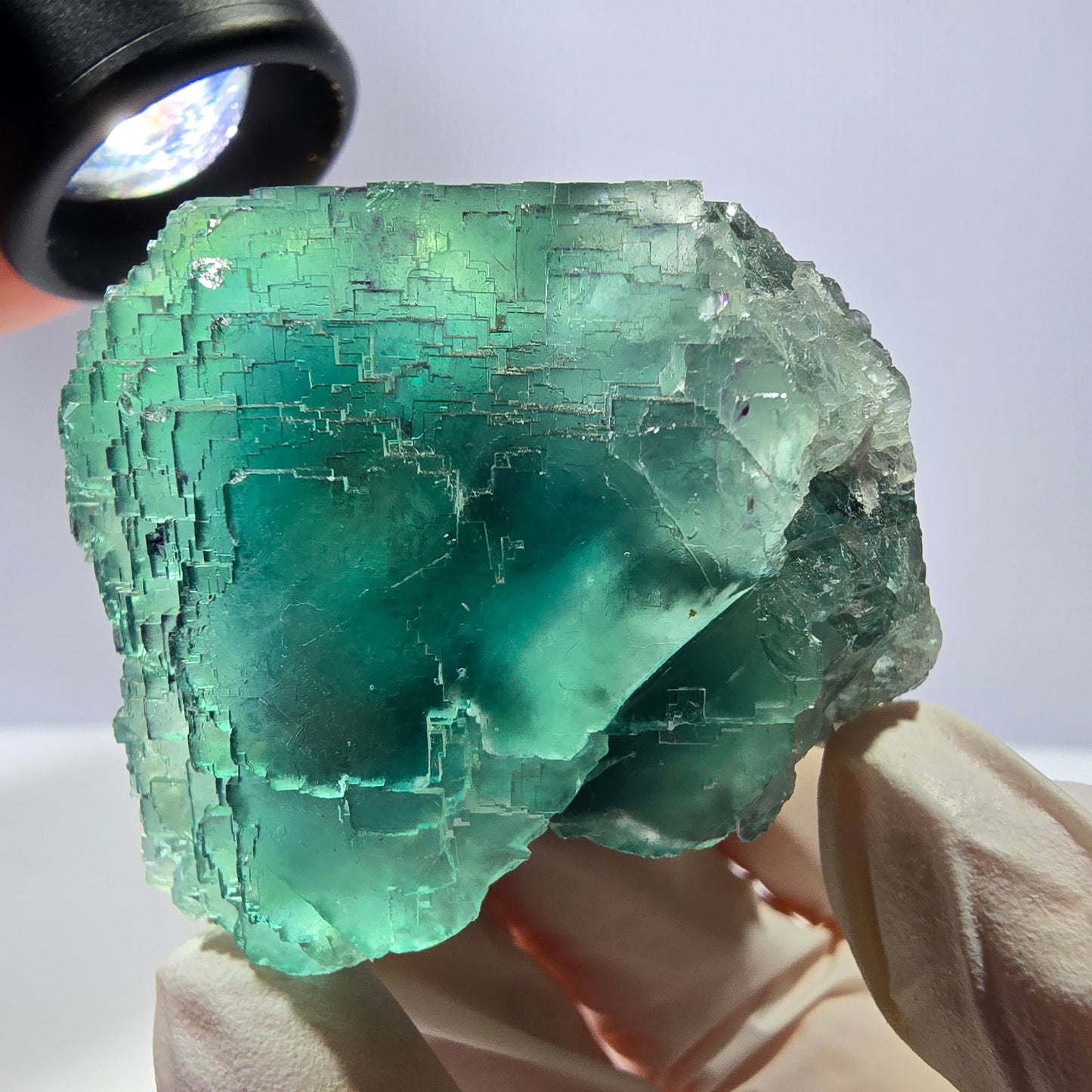 Spécimen de cube de fluorite fantôme transparente, vert parqueté, Okorusu, Namibie, 60 x 44 x 40 mm