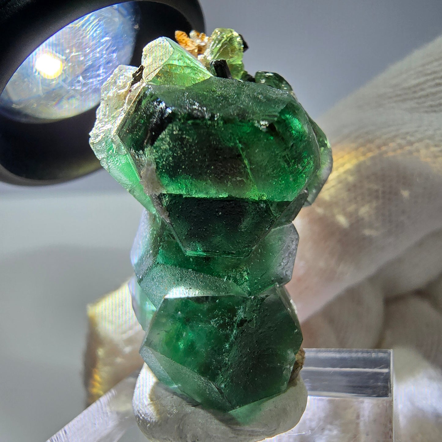 Fluorite fantôme hexagonale Schörl Tourmaline Quartz fumé Hyalite Erongo, Namibie 39*25*22mm