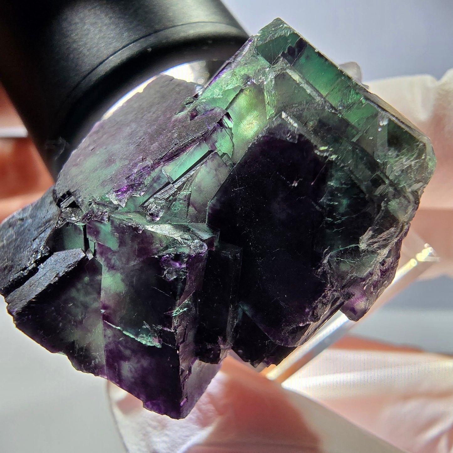 Phantom Fluorit Würfel Stufe, parkettiert grün lila Okorusu, Namibia 35*28*27mm