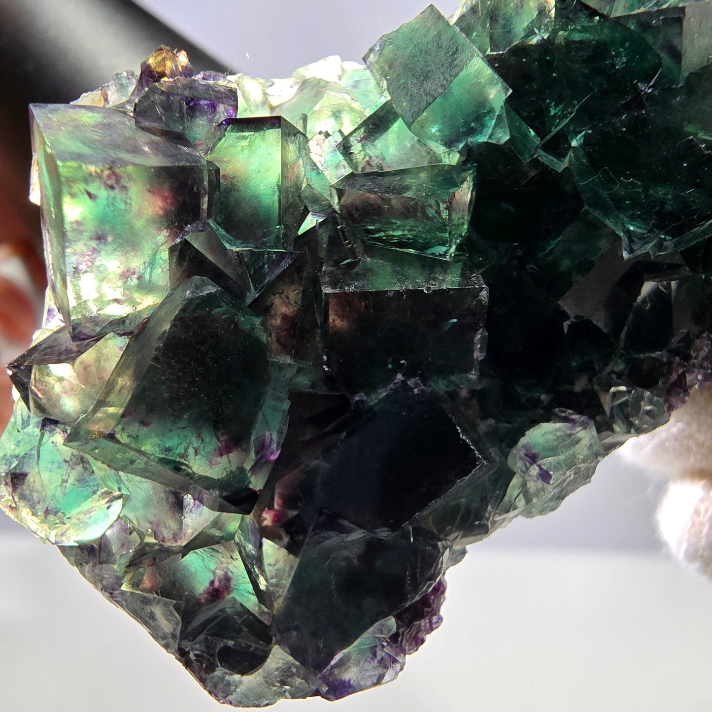 Rare spécimen de cube de fluorite fantôme, vert violet Okorusu Namibie 76*35*19mm