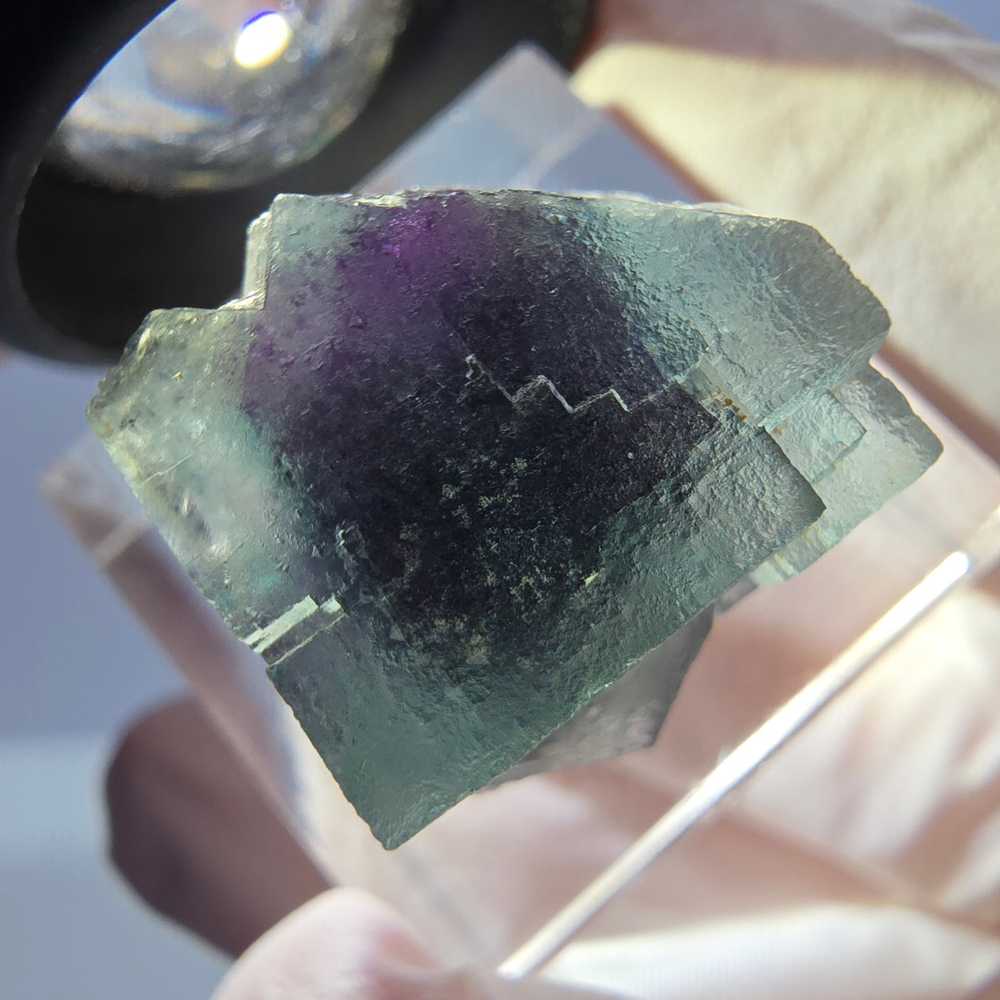 Spécimen de cube de fluorite fantôme, parqueté vert violet Okorusu, Namibie 19 x 18 x 15 mm