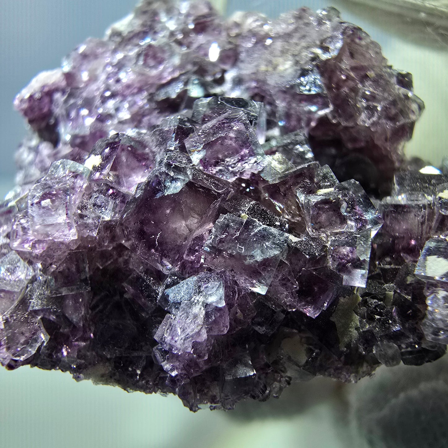 Spécimen rare de cube de fluorite fantôme, vert zonal et violet, Okorusu, Namibie, 38 x 28 x 12 mm