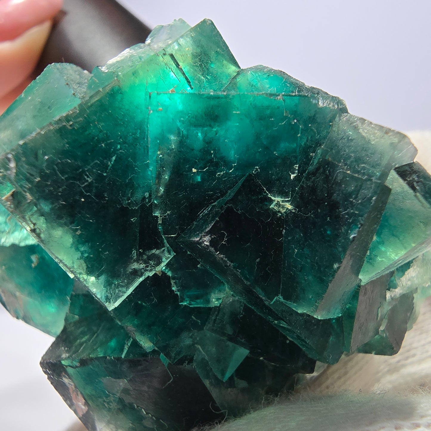 Rare spécimen de cube de fluorite fantôme, parqueté vert Okorusu, Namibie, 60 x 46 x 30 mm