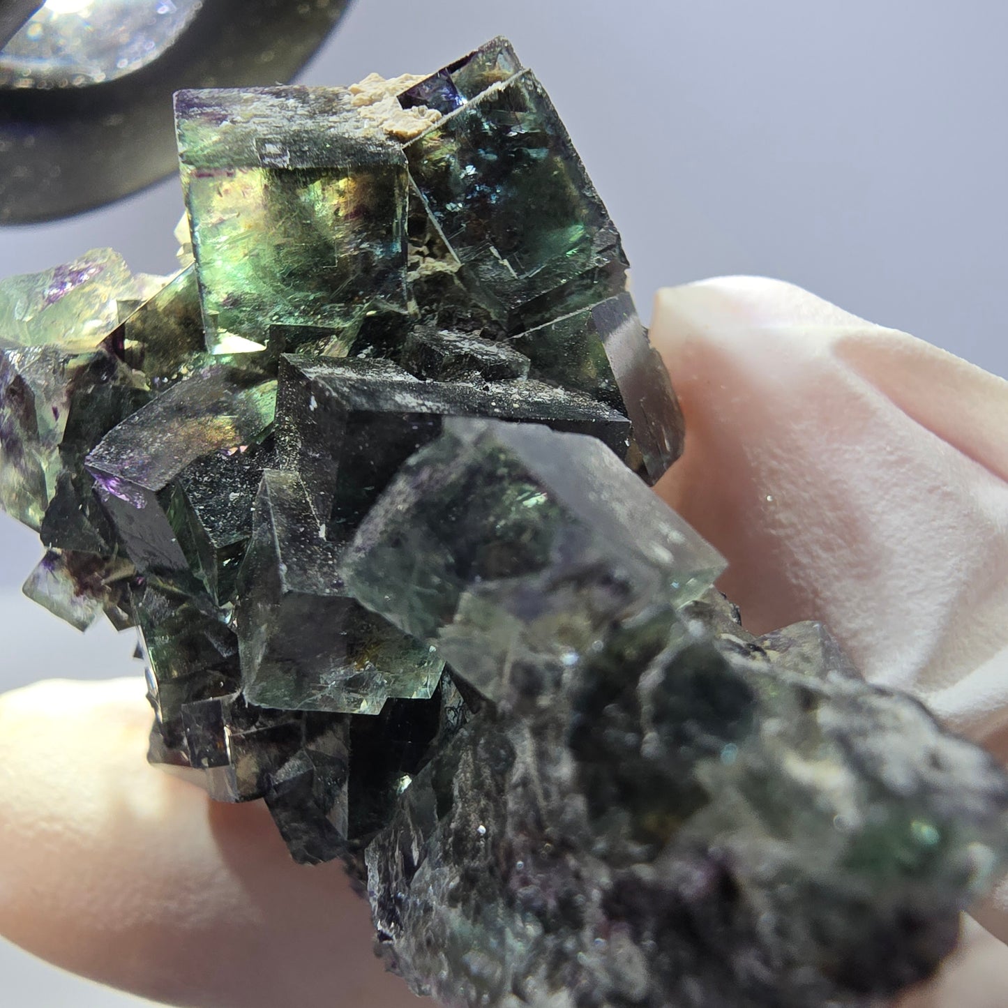 Spécimen de cube de fluorite fantôme parqueté vert violet Okorusu, Namibie 50*34*31mm