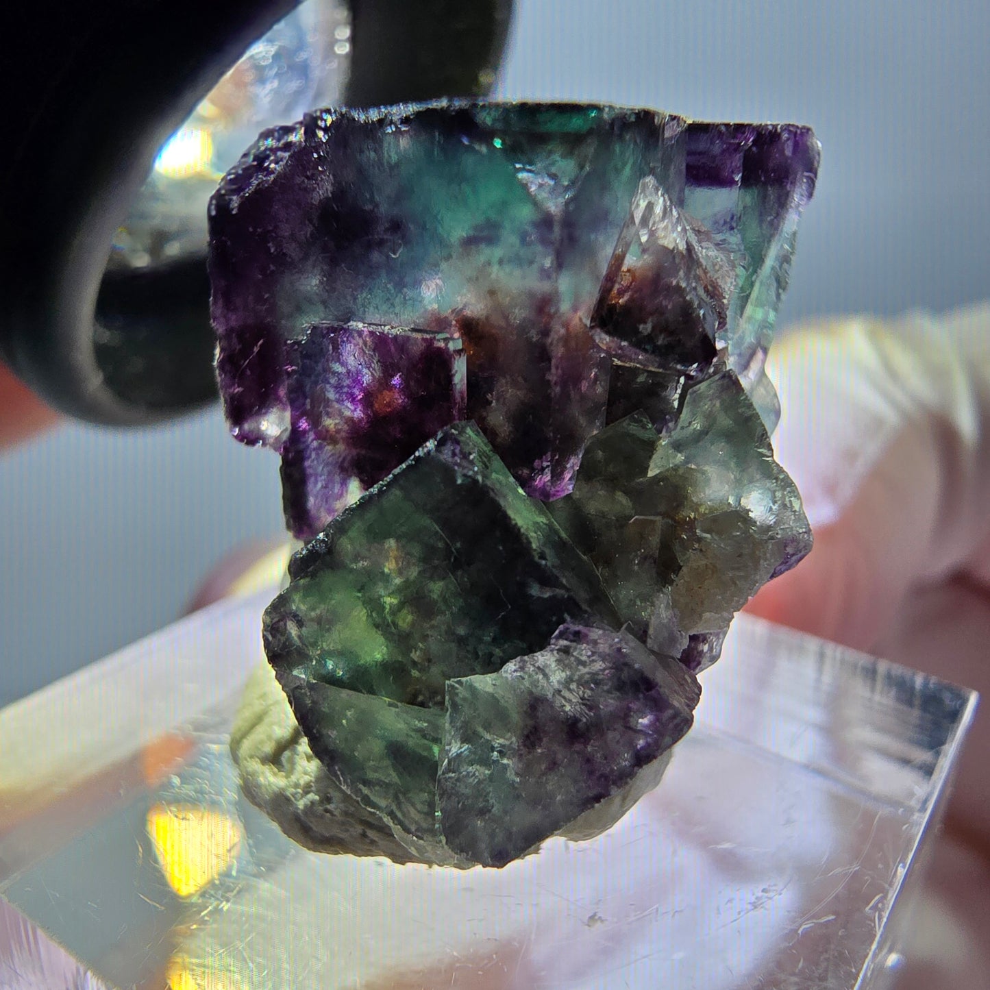 Spécimen de cube de fluorite fantôme, parqueté vert violet Okorusu, Namibie 25*19*15 mm