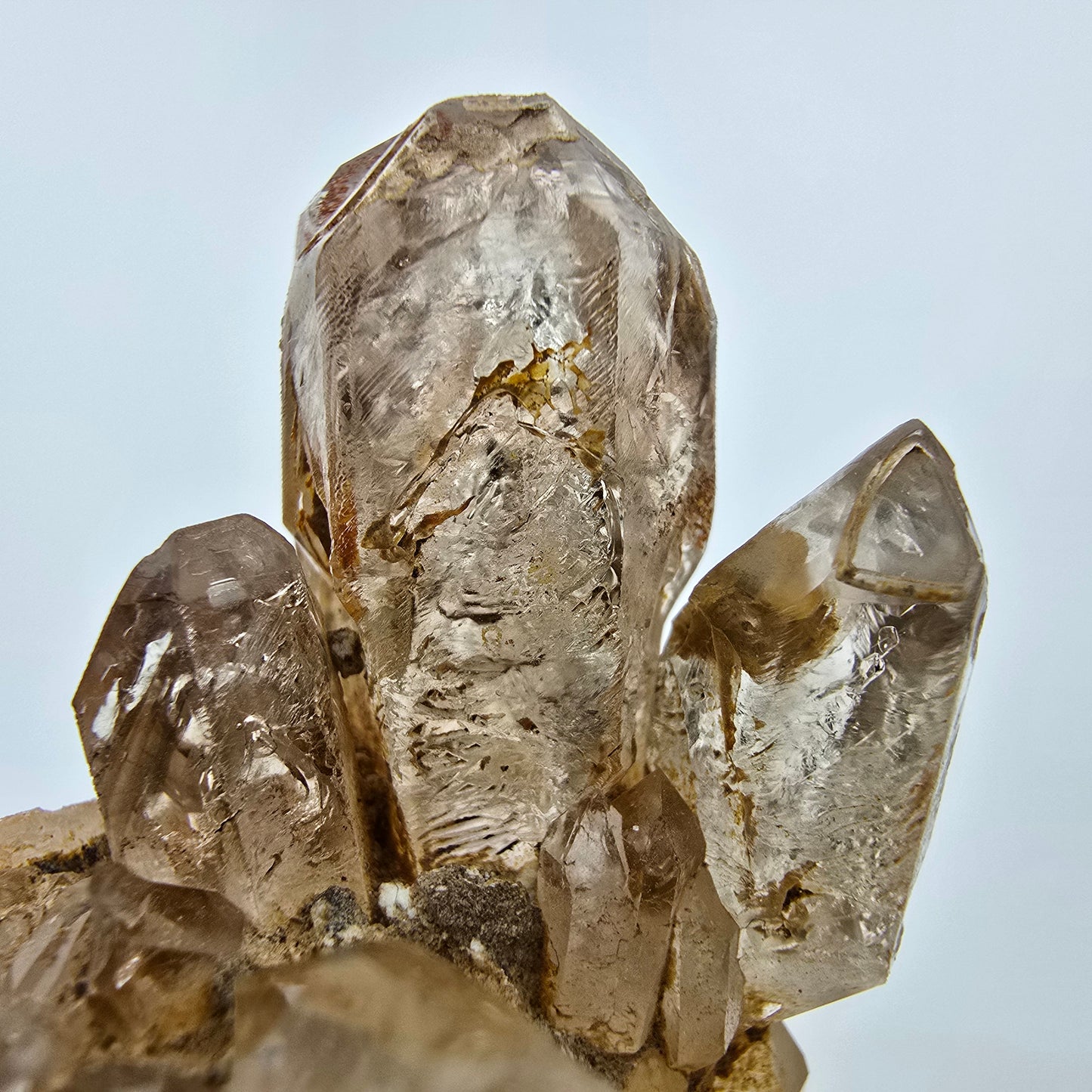 Enhydro Phantom Rauchquarz Zepter auf Matrix Goboboseb, Namibia 67*60*37mm