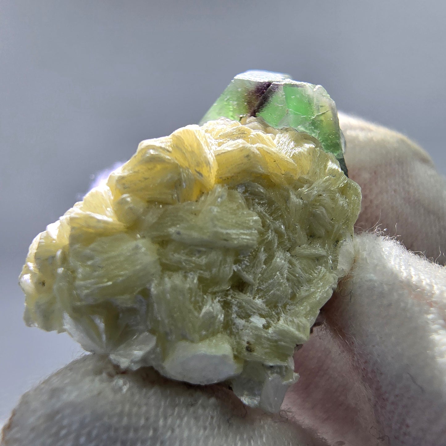 Phantom Fluorit Würfel, Muskovit Stufe Erongo, Namibia 28*21*18mm Sammlung